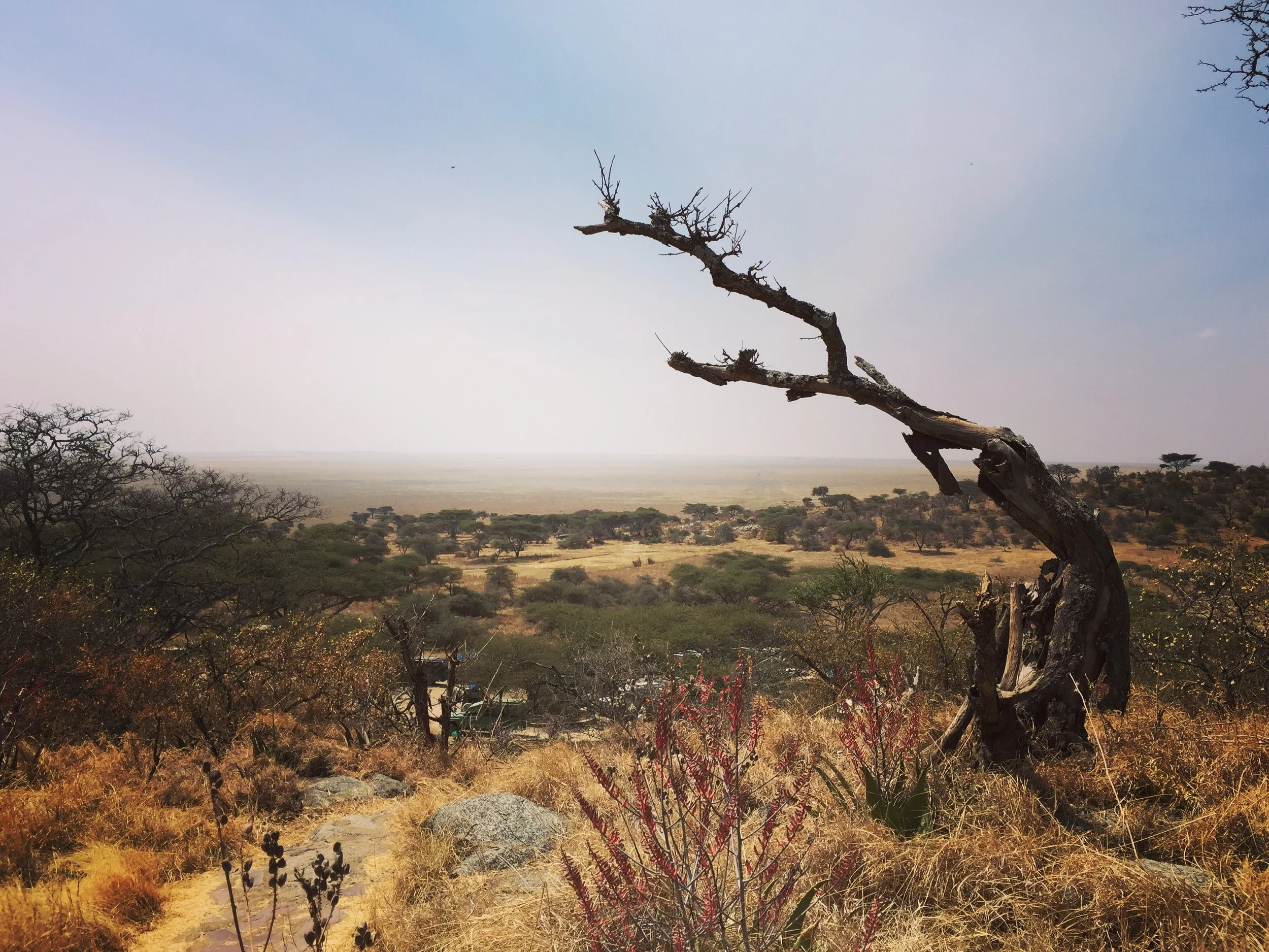 Ngorongoro Conservation Area 