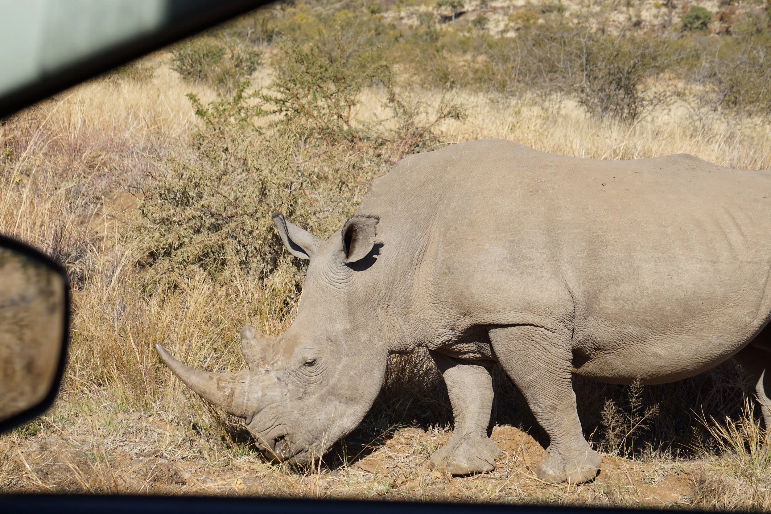 Pilanesberg National Park 