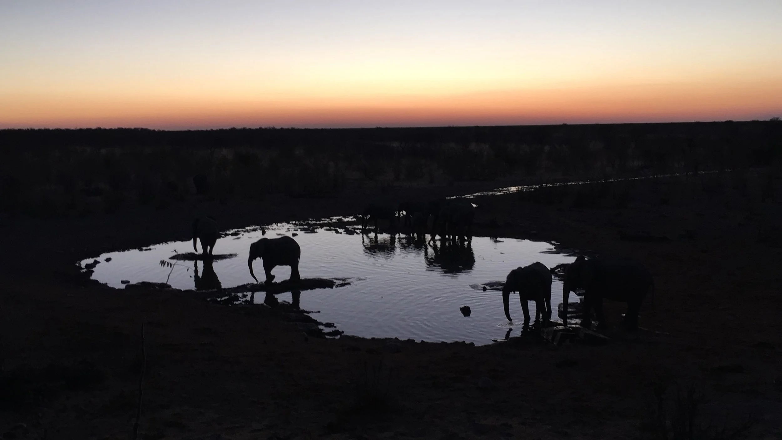 Etosha National Park