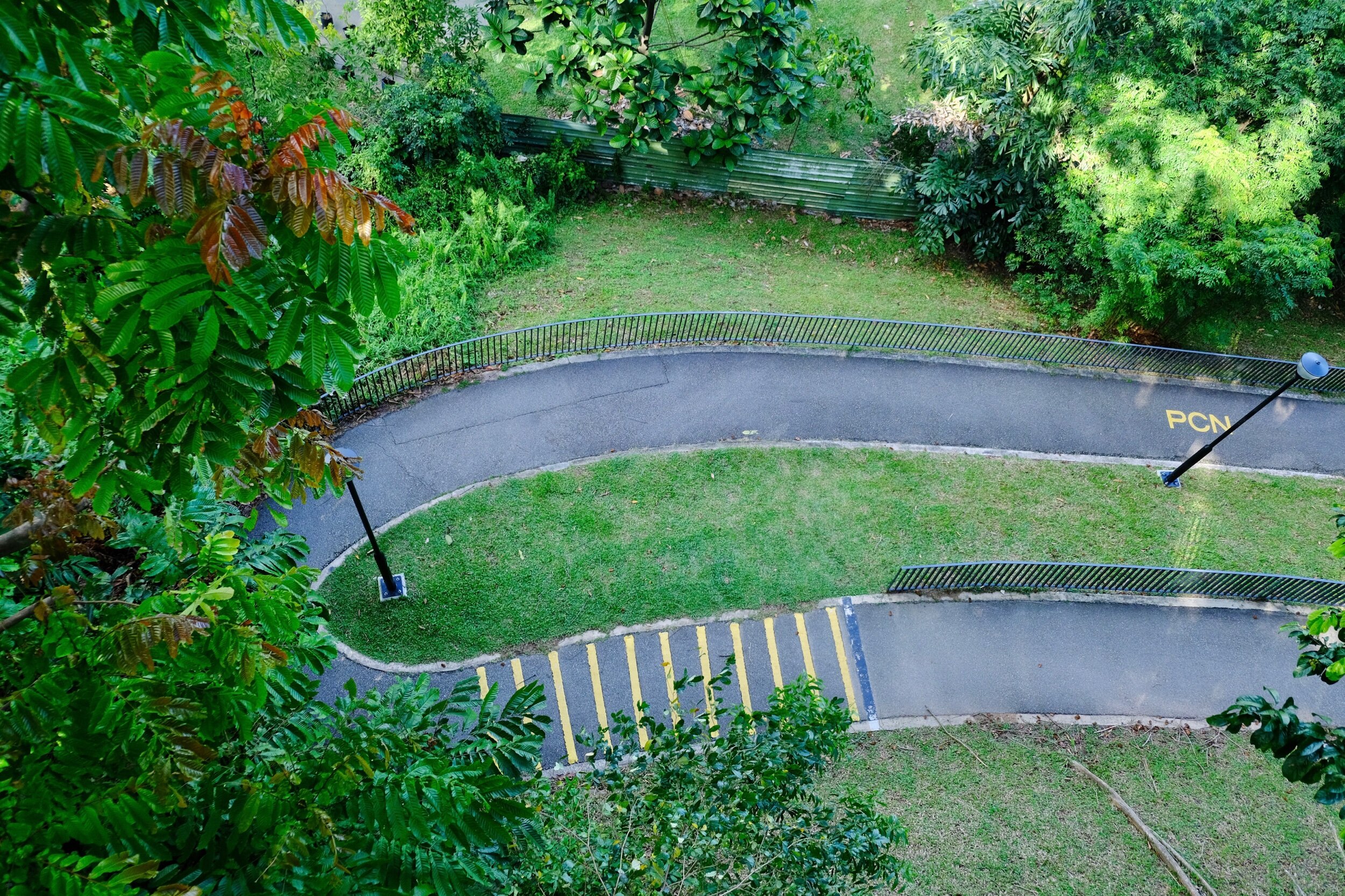 The path leading up to Canopy Walk. View from Canopy Walk. 
