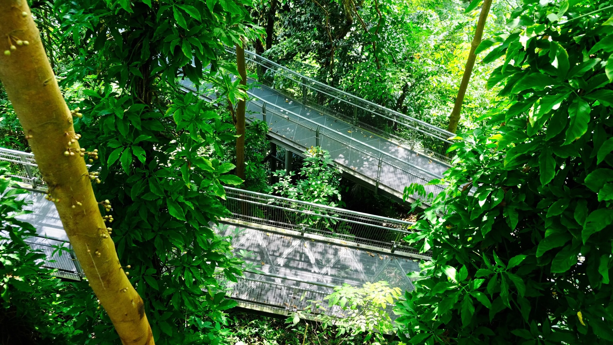 The Southern Ridges, Singapore