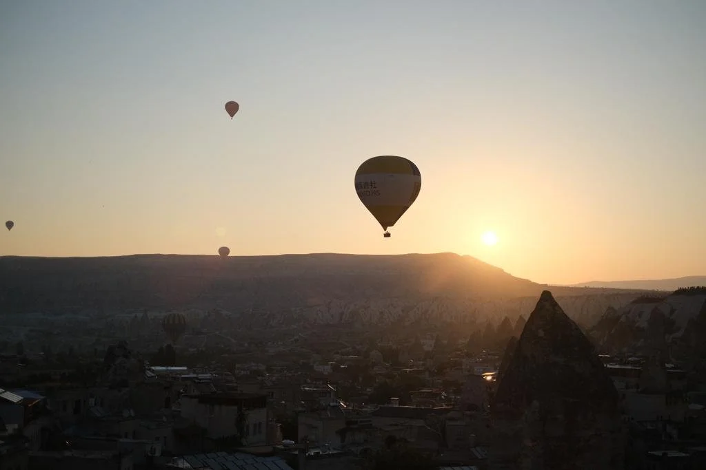 WhatsApp Image 2023-04-11 at 3.07.19 PM.jpeg