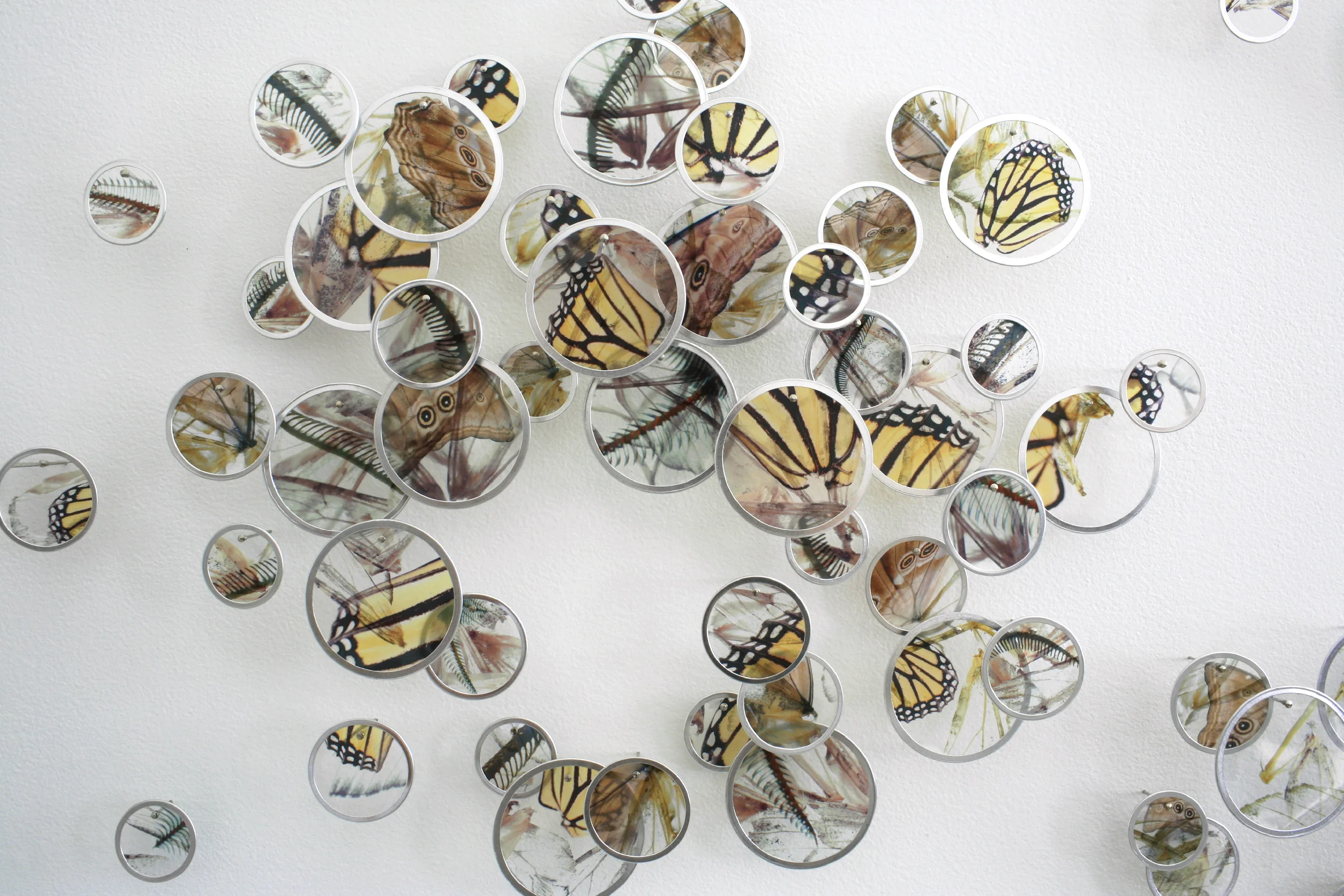 Swarm ALAN BUR JOHNSON