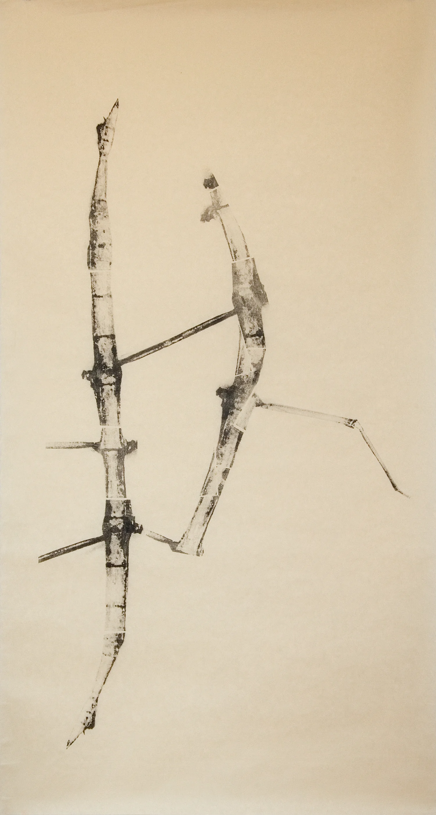 Graft No. 4