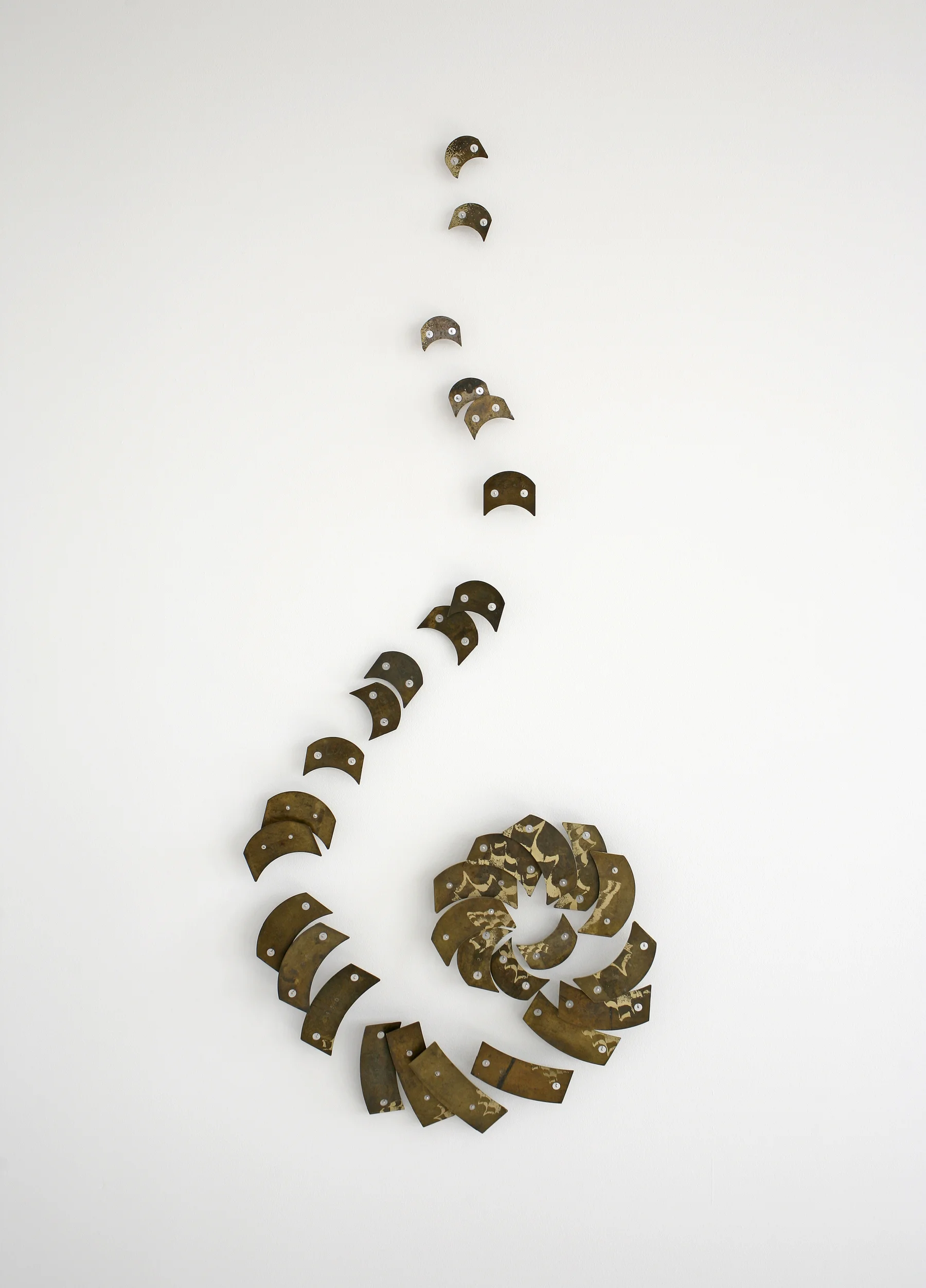 In.vertebrate: Reel