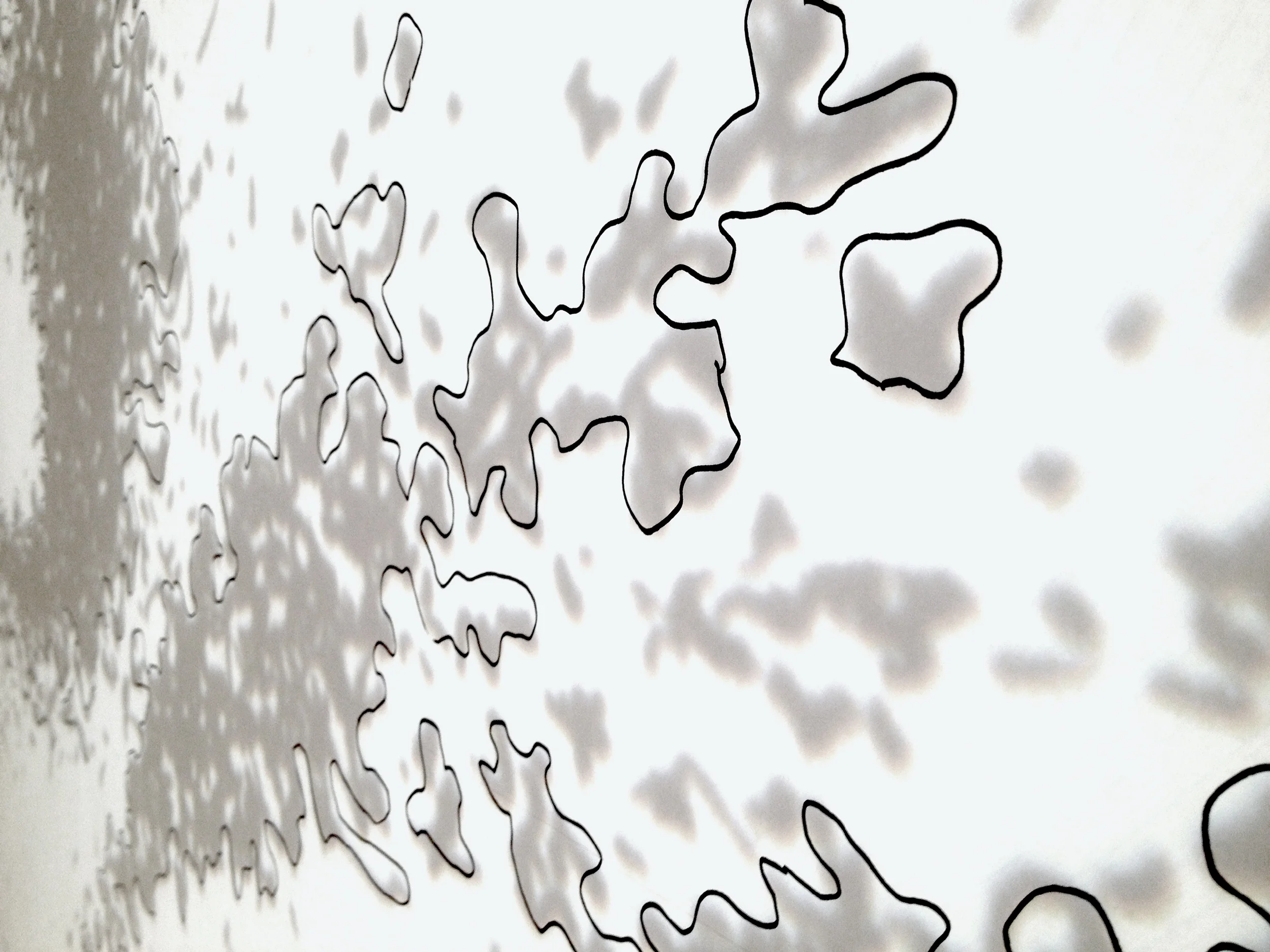 Murmuration Projection | Drawing