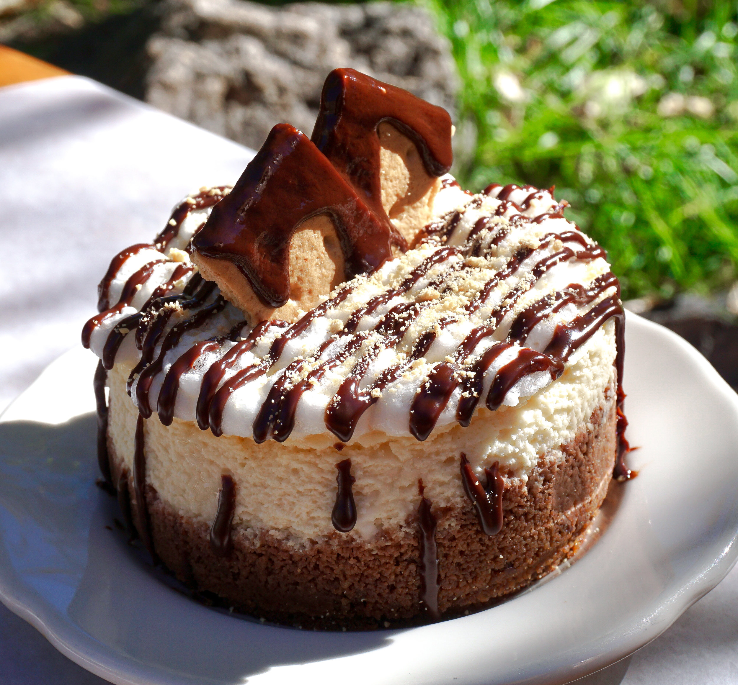 S'mores Cheesecake