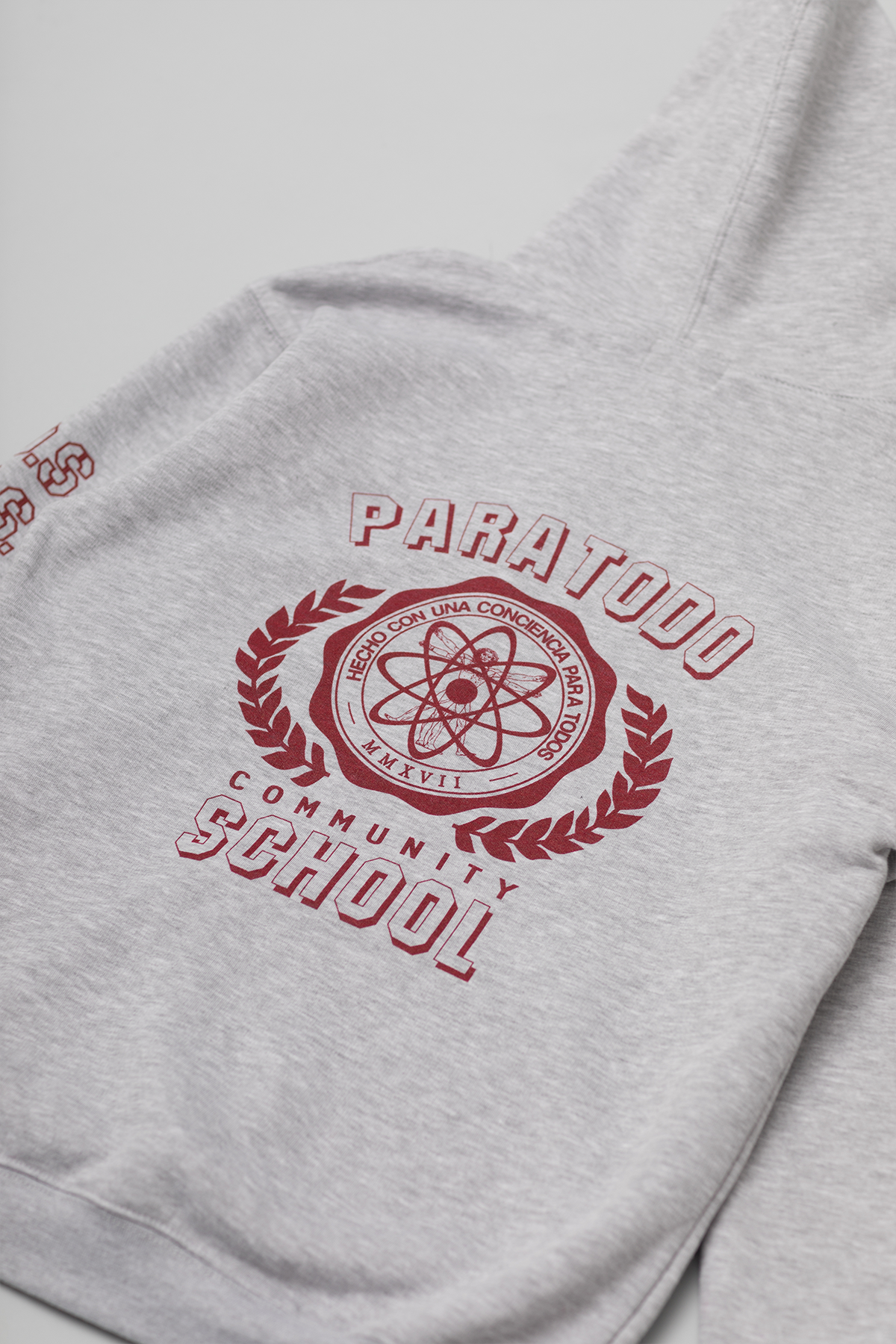 hoodie-grey5.png