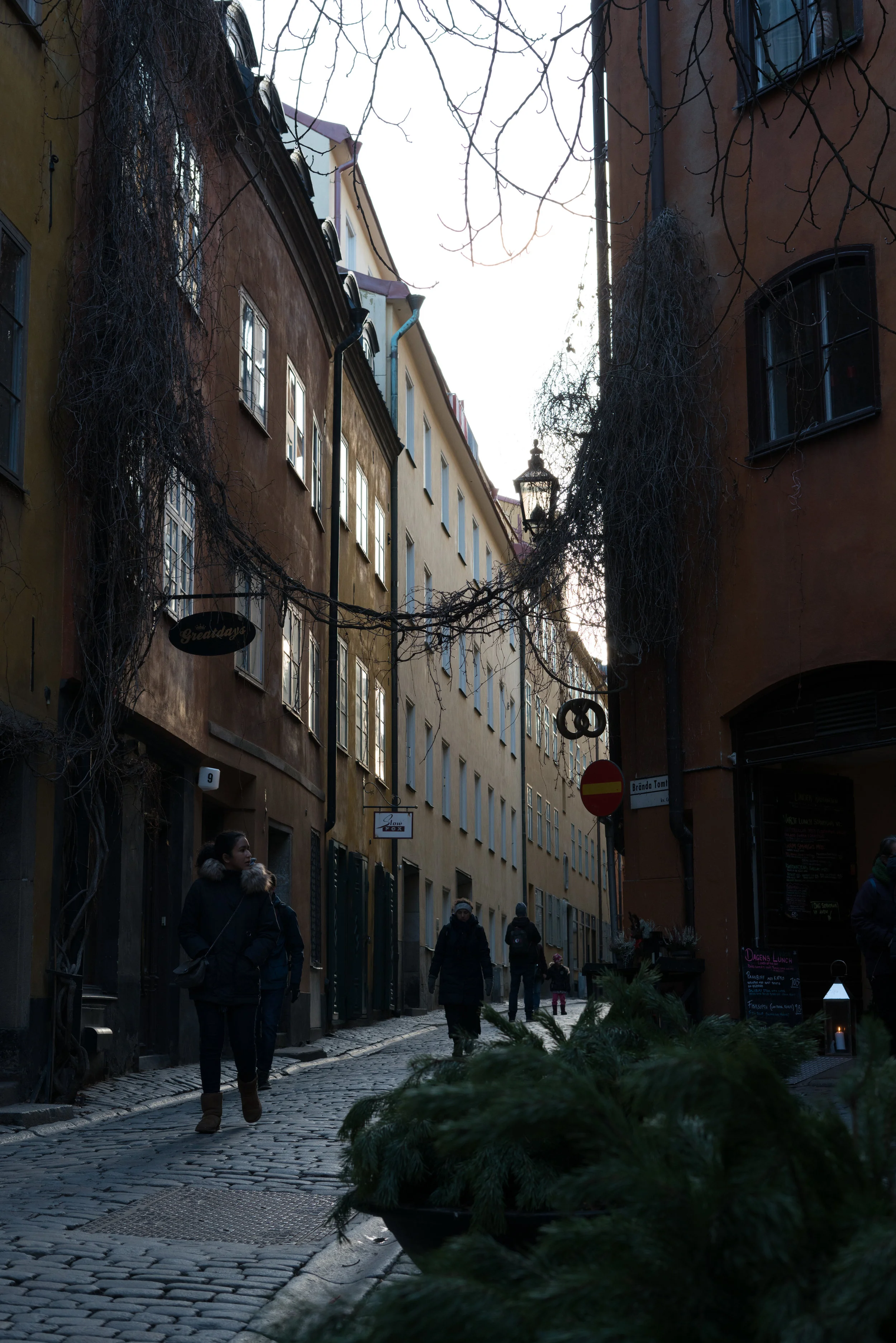 DSC03731.jpg
