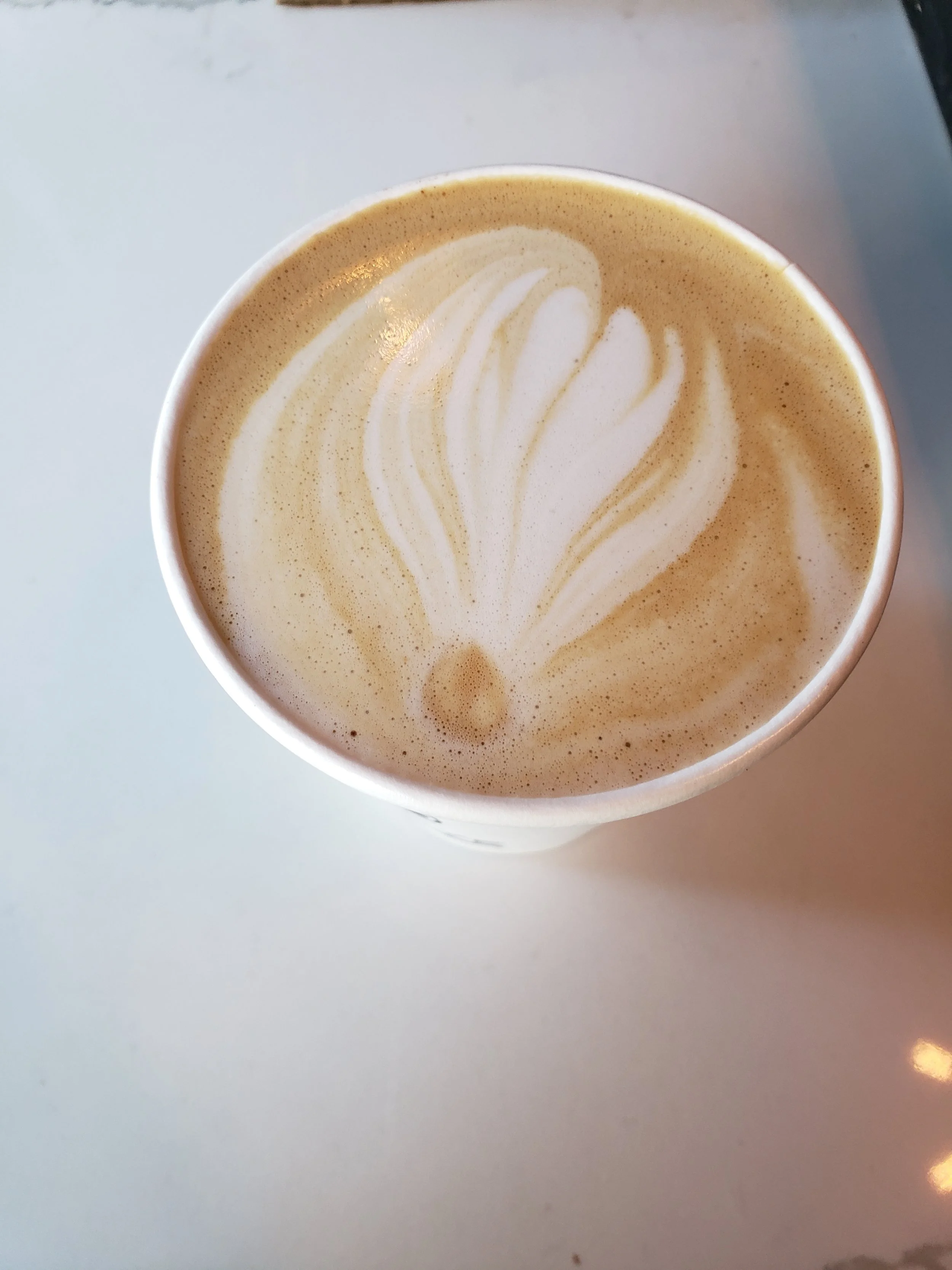 New coffee addition to South City!