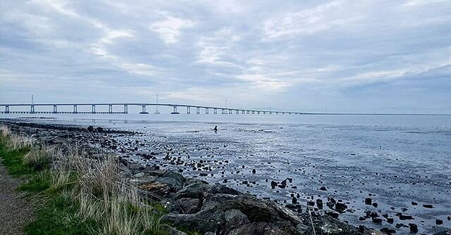 Perfect view..Perfect Monday off from work 🙂🙏🏽
...
#mondaymotivation #monday #mondaymood #jogwithaview #bayview #bayarea #beautifuldestinations #beautifulday #beautifulplaces #beautifulview #gramslayers #moodygrams #moods_in_frame #mood #joggers #