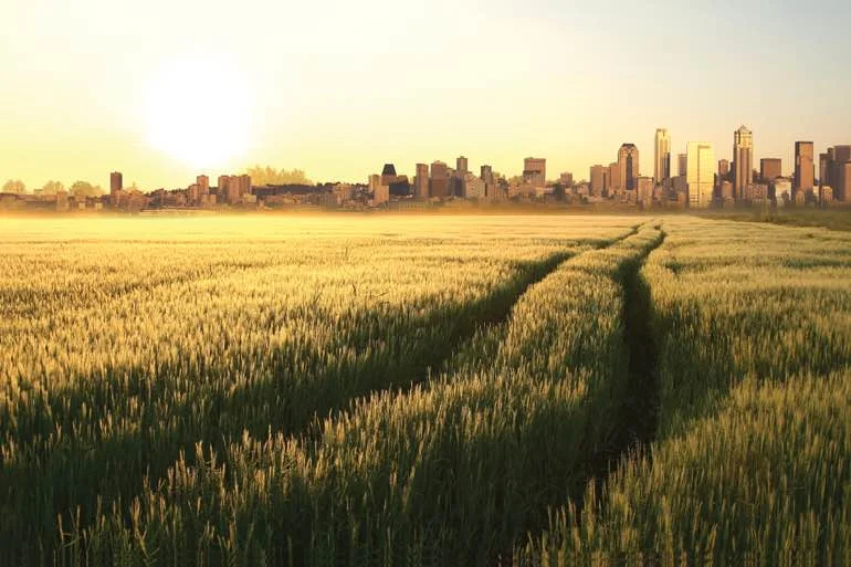 HHG background picture example.JPG