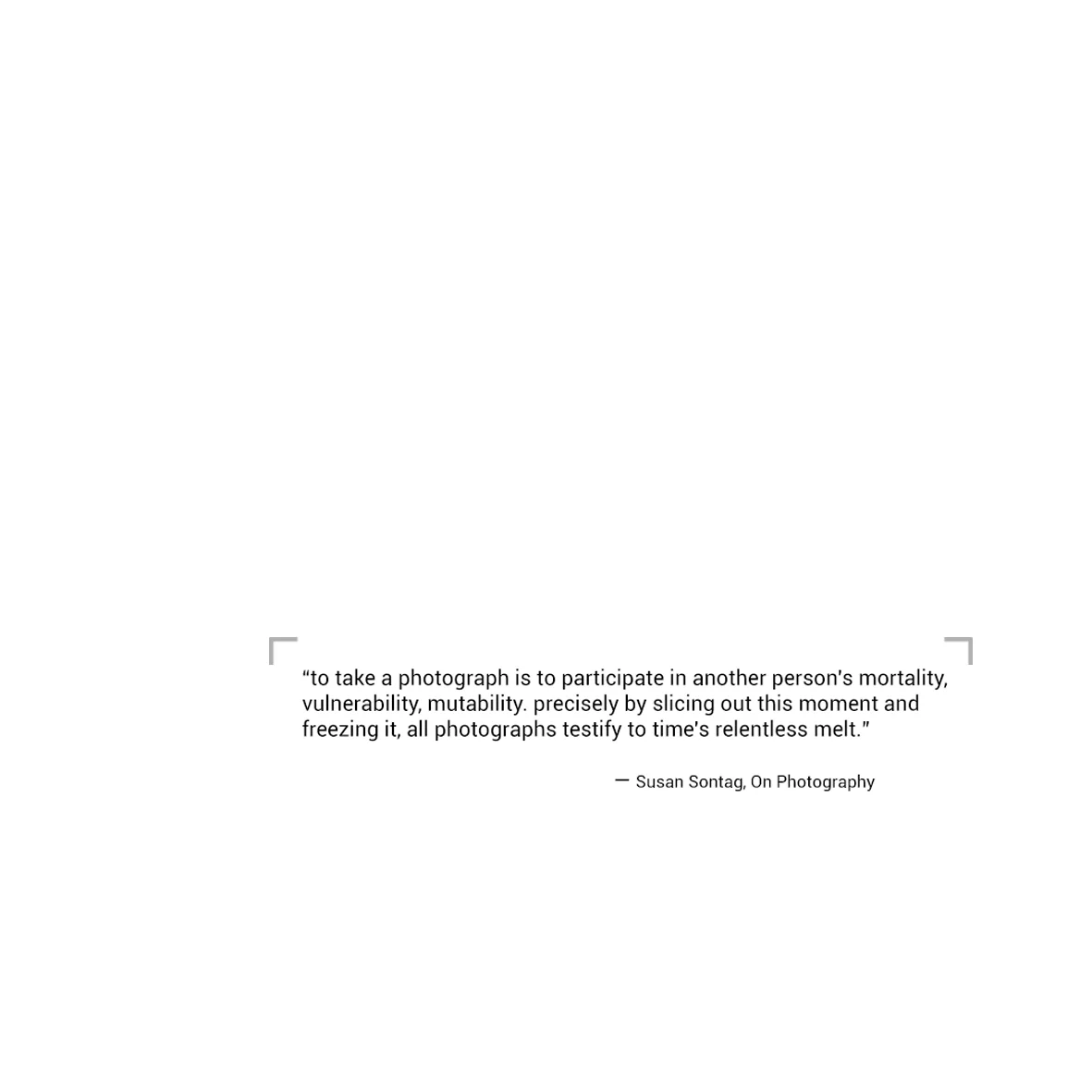 susan sontag quote.jpg