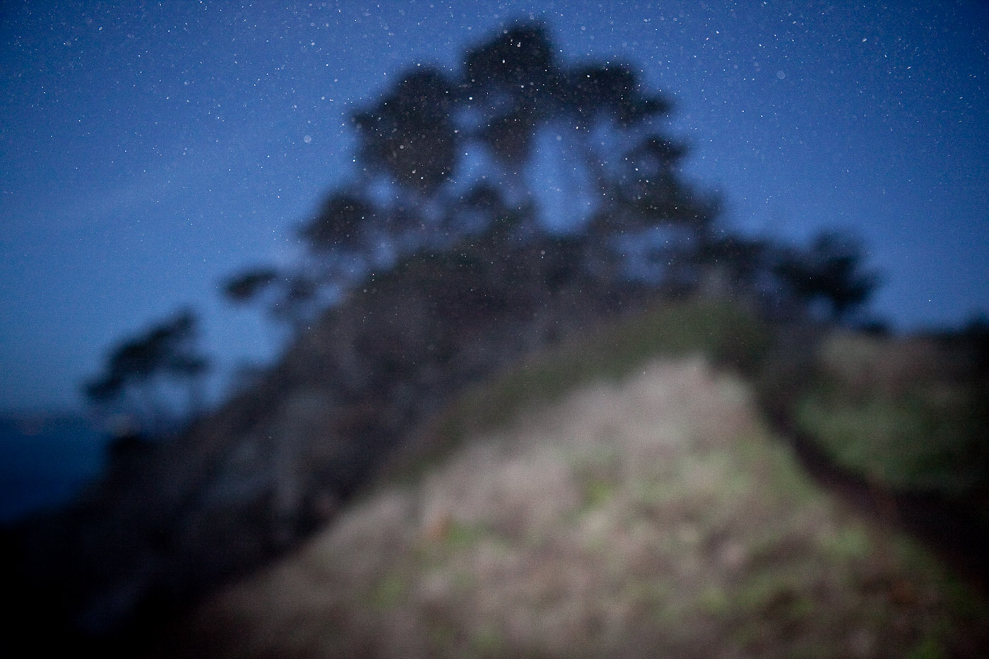 pointlobos_11.jpg