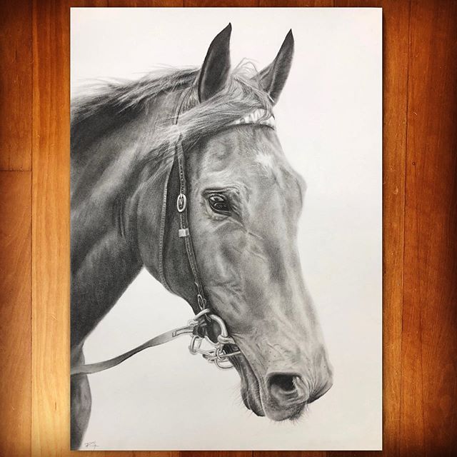 Plot Twist 🐴, charcoal on paper. 
A lovely private commission for a lovely lady. 
Still a few openings for commissions before Xmas, but hurry - time is running out! 👨🏽&zwj;🎨