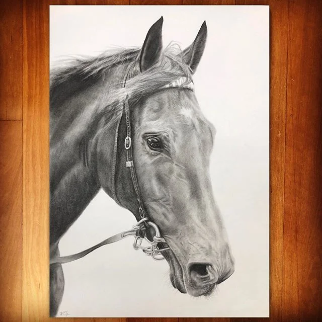 Plot Twist 🐴, charcoal on paper. 
A lovely private commission for a lovely lady. 
Still a few openings for commissions before Xmas, but hurry - time is running out! 👨🏽‍🎨