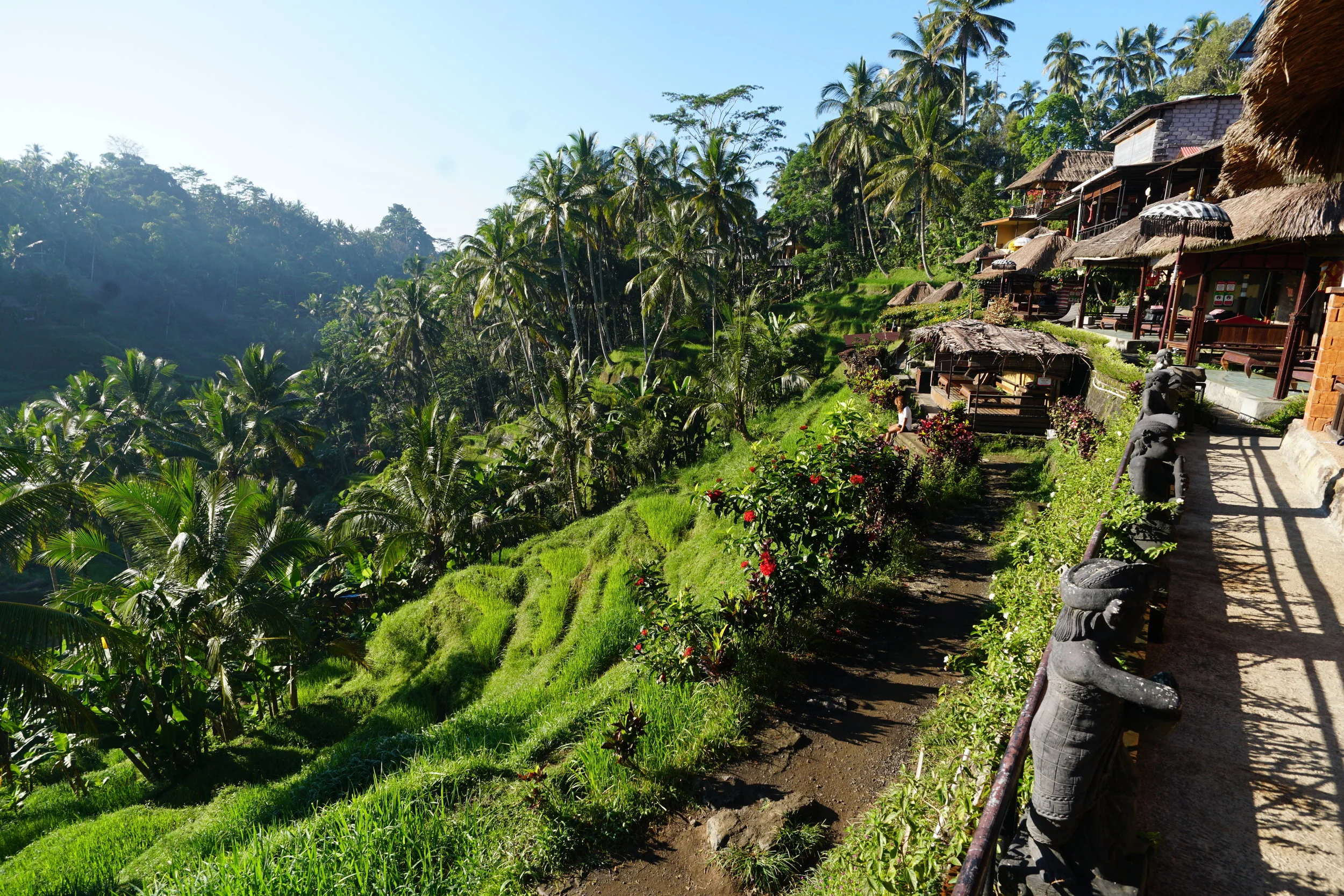 My local guide took at least 100 shots (because he didn't know how to use focus).