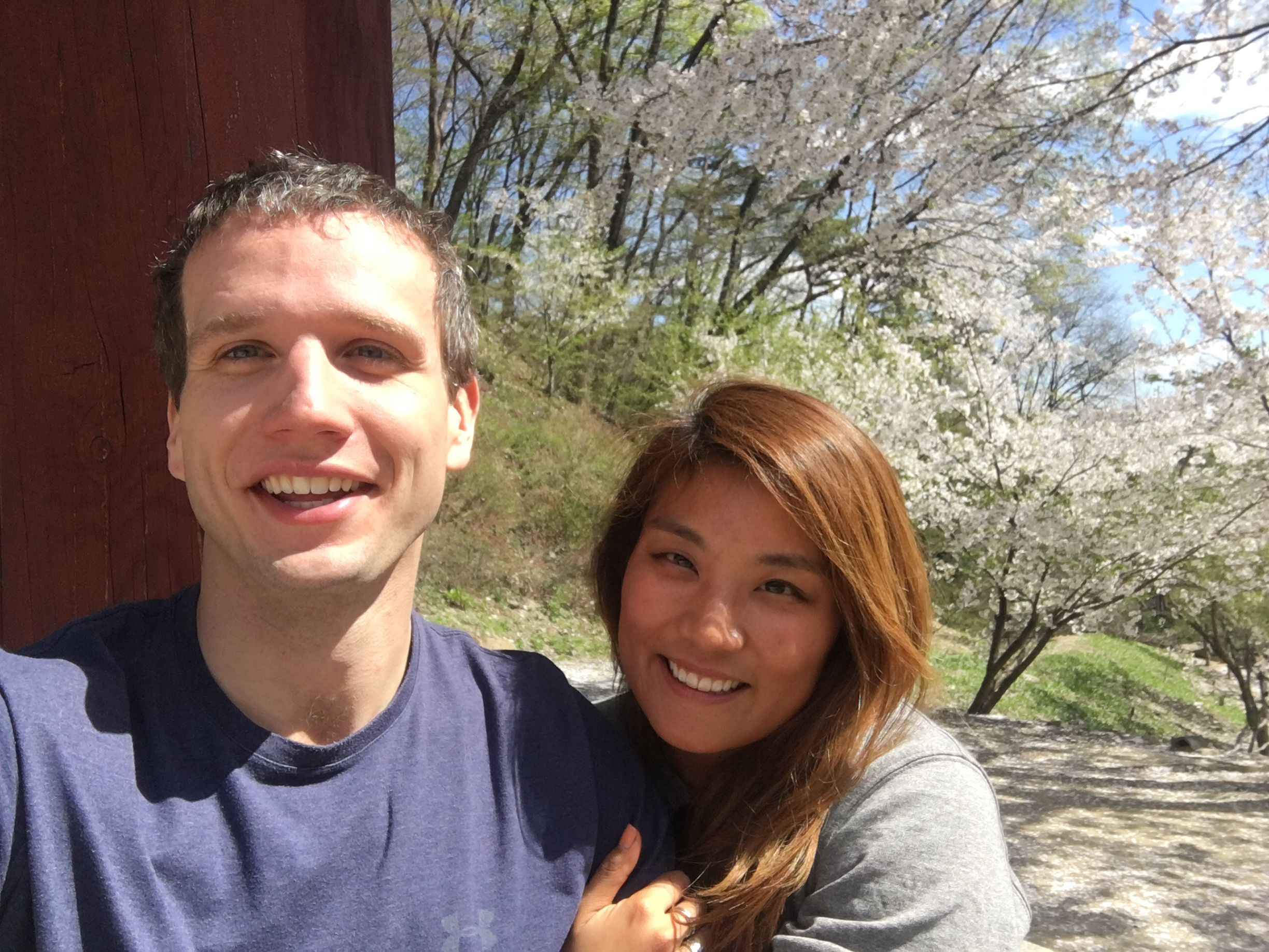 Cherry blossom road trip