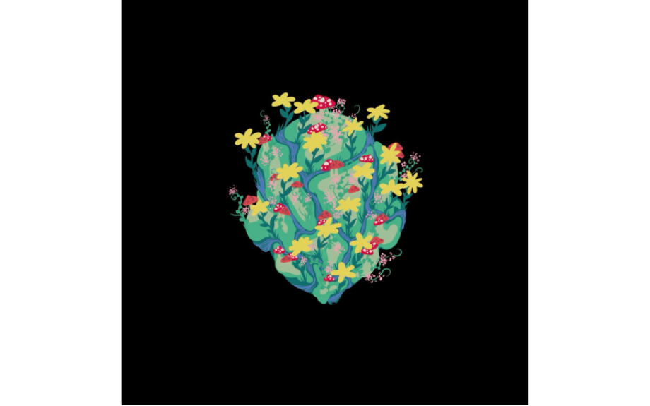 day13n is back …   with his ‘experimentally divergent’ 4 track EP  ‘Entropy’