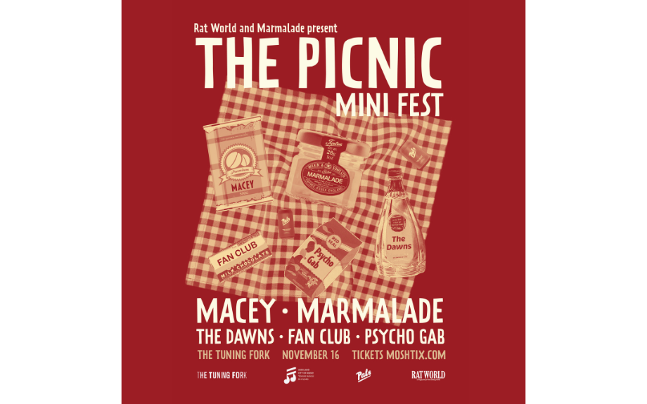 THE PICNIC MINI FESTIVAL