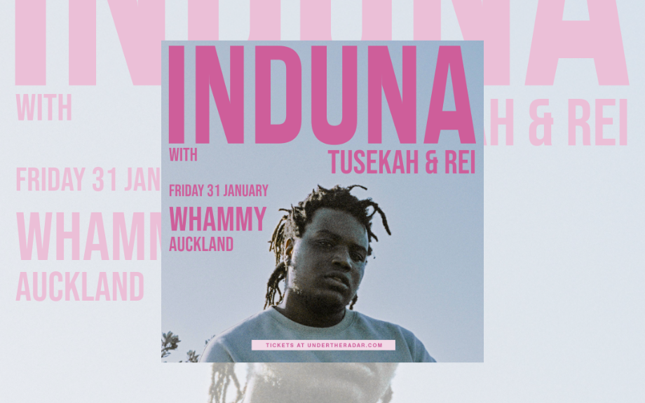 InDuna Presents  (NZ) A Whammy Gig “A Night of Fusion Afro-Pop, Soul and Modern Electronic Sounds” 