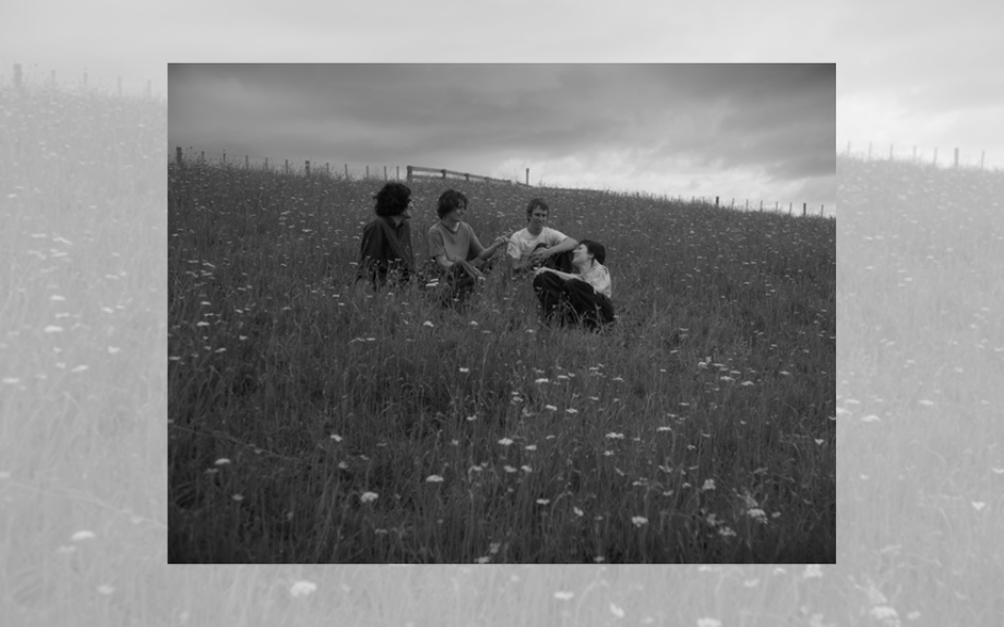RINGLETS  SHARE  ‘HEAVENLY WHEEL’