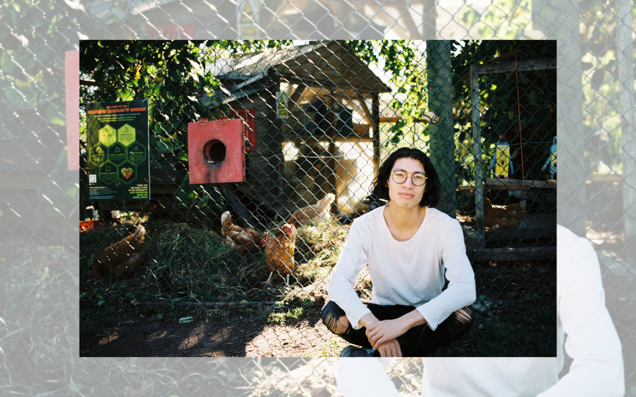 PICKLE DARLING  shares new single  ‘Human Bean Instruction Manual’