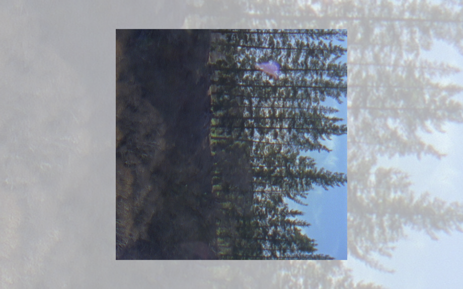 Nic Manders Releases New Single “Walking Slowly”