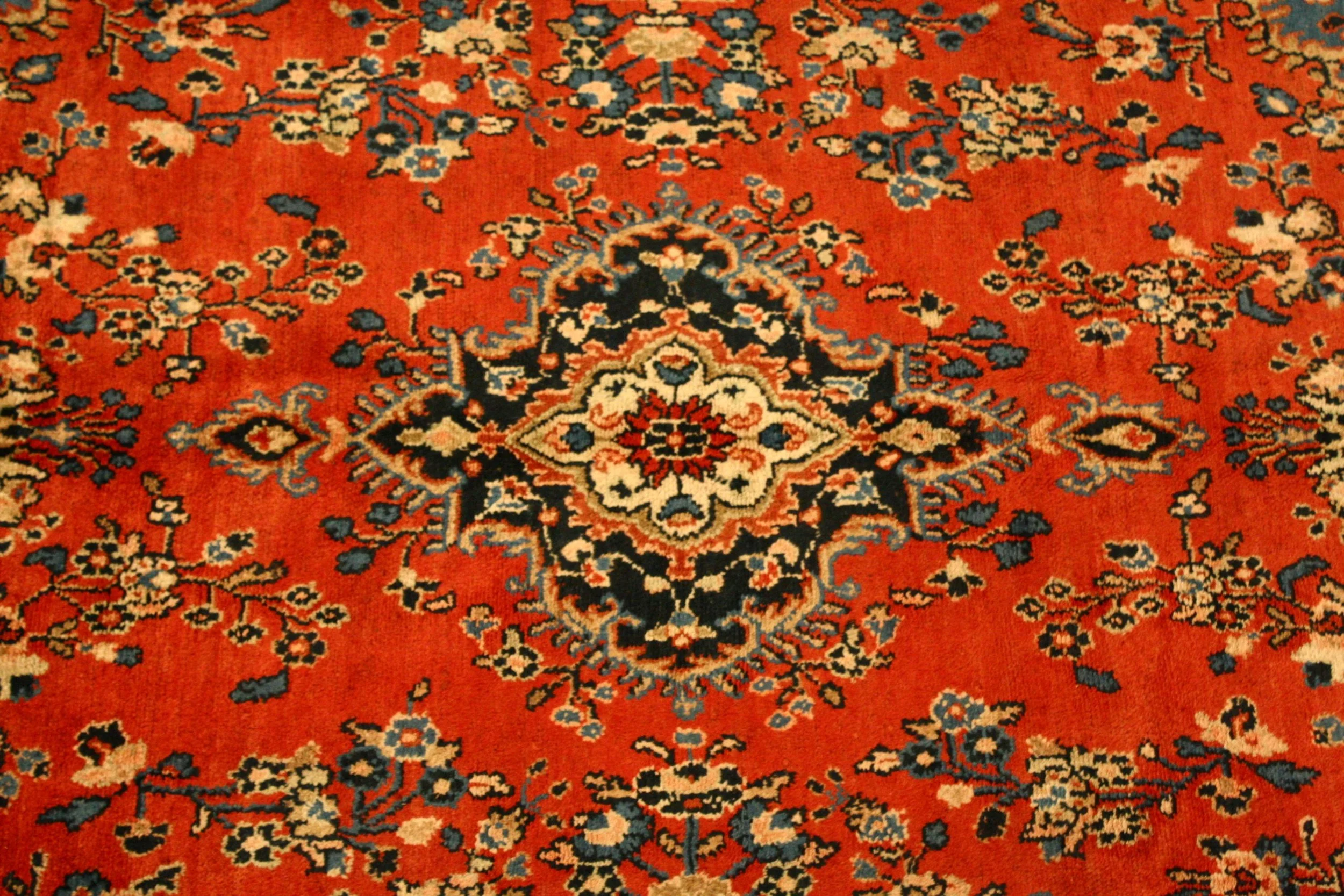 IMG_2350.jpg