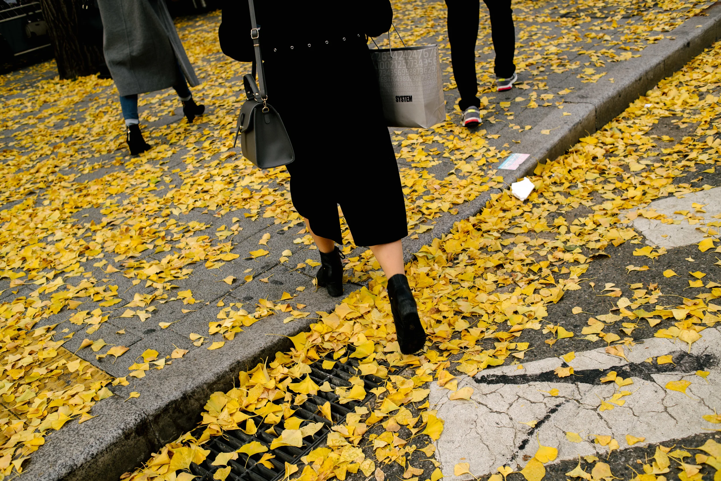 DSC_8268.jpg
