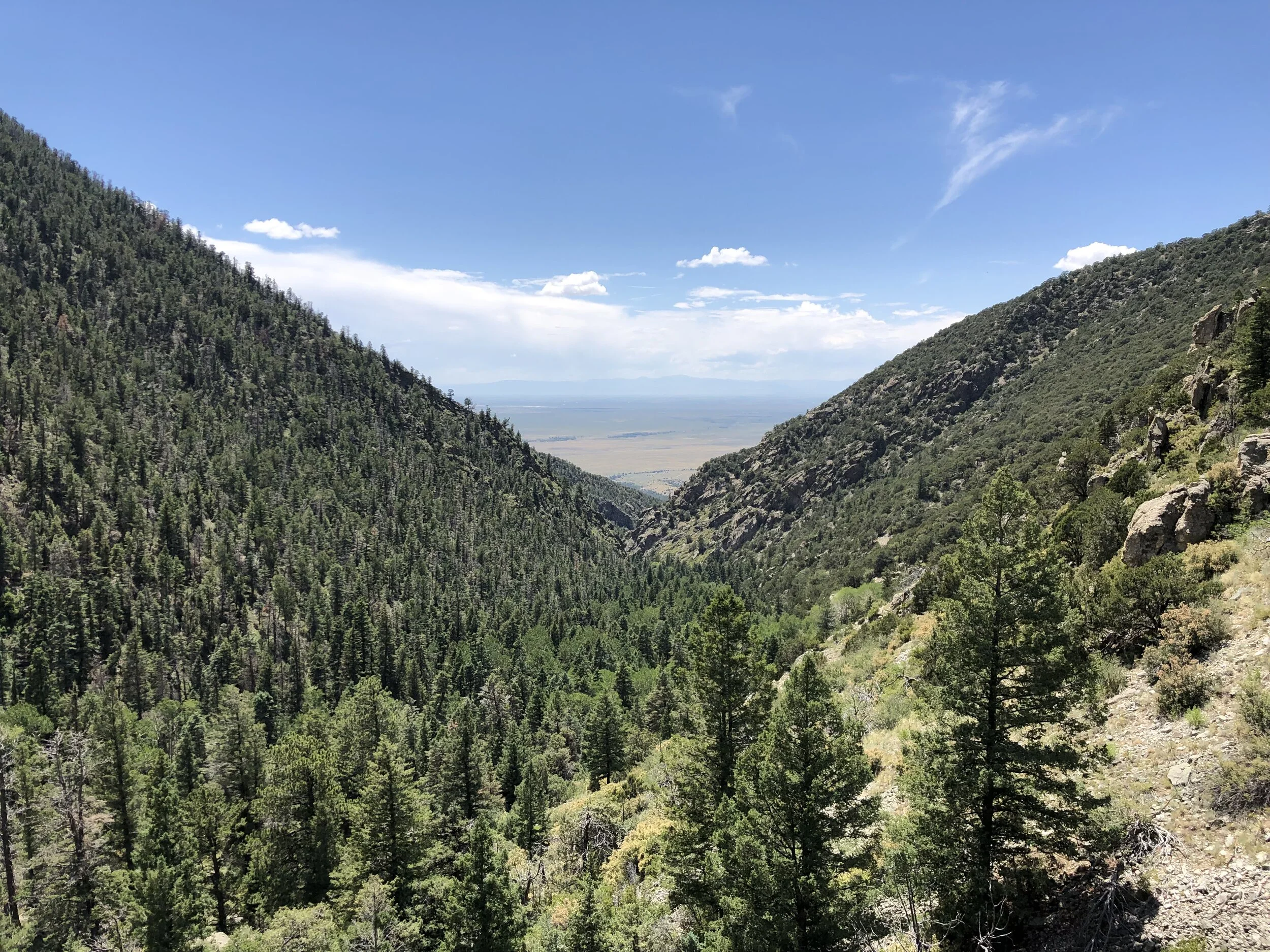 The Circle and The Bear - Tales from 28 Days of Solitude - Part 2
