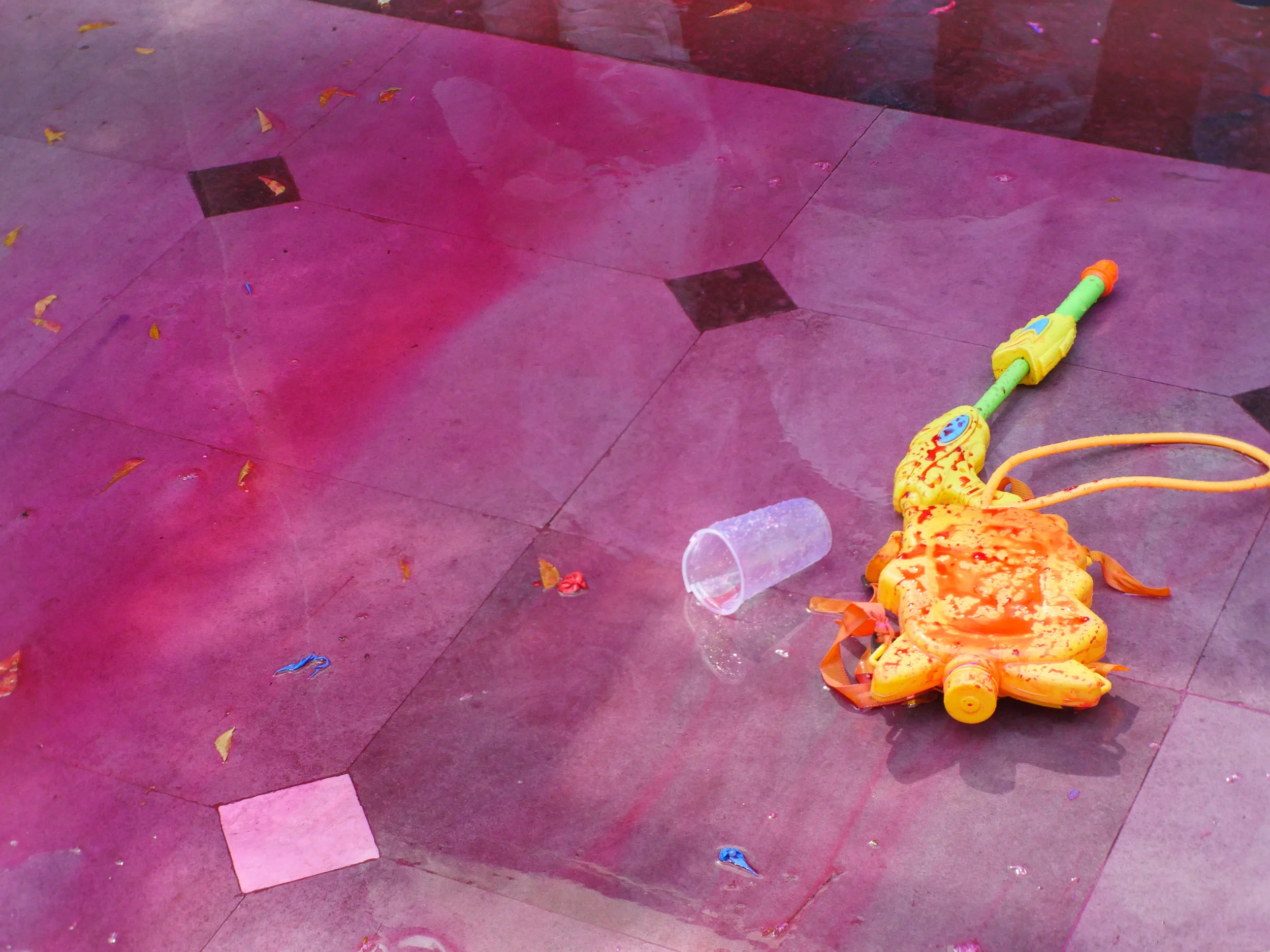 Holi 2018-23.jpg