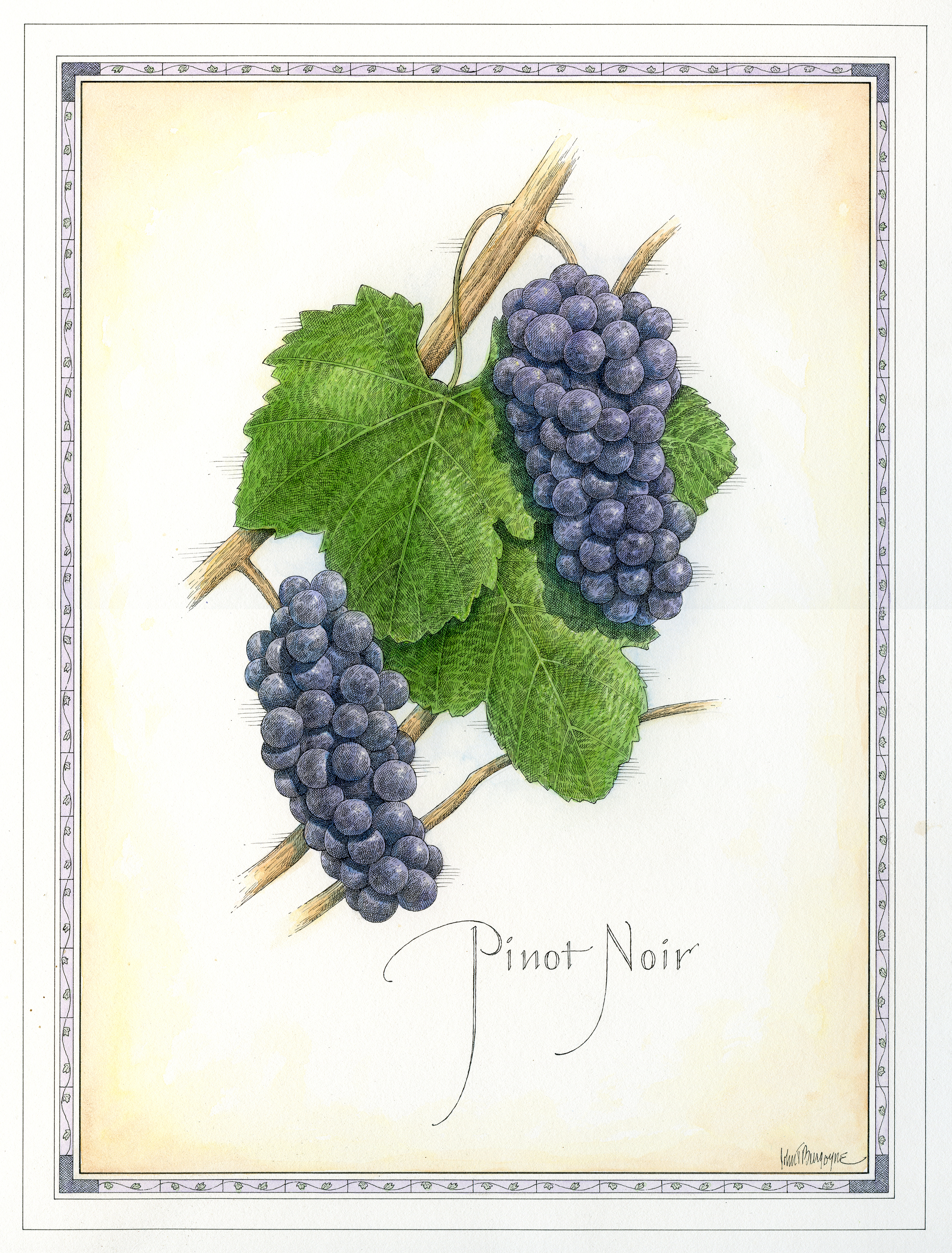 Pinot Noir finish.jpg