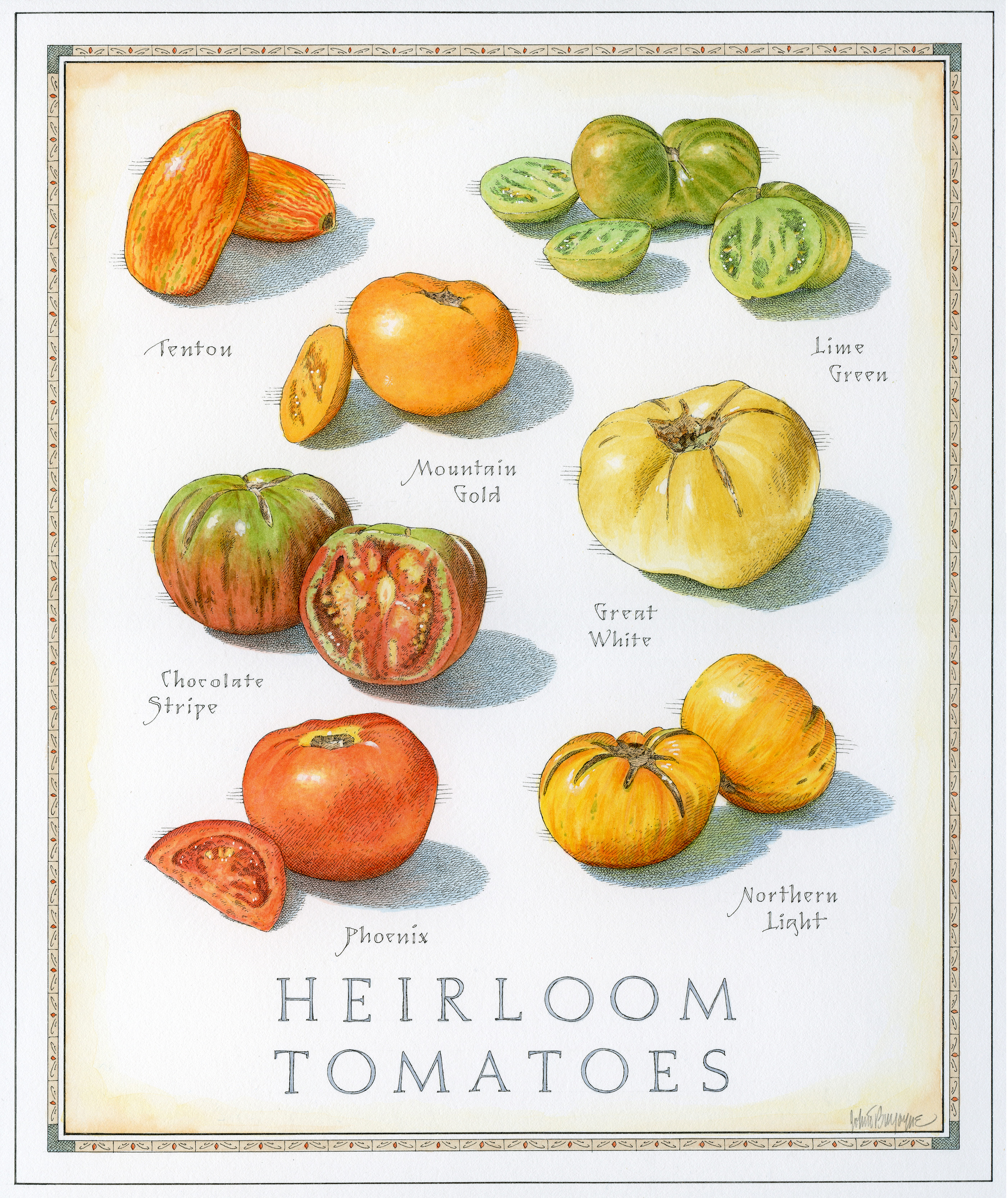 Heirloom Tomatoes  small 7 12.jpg
