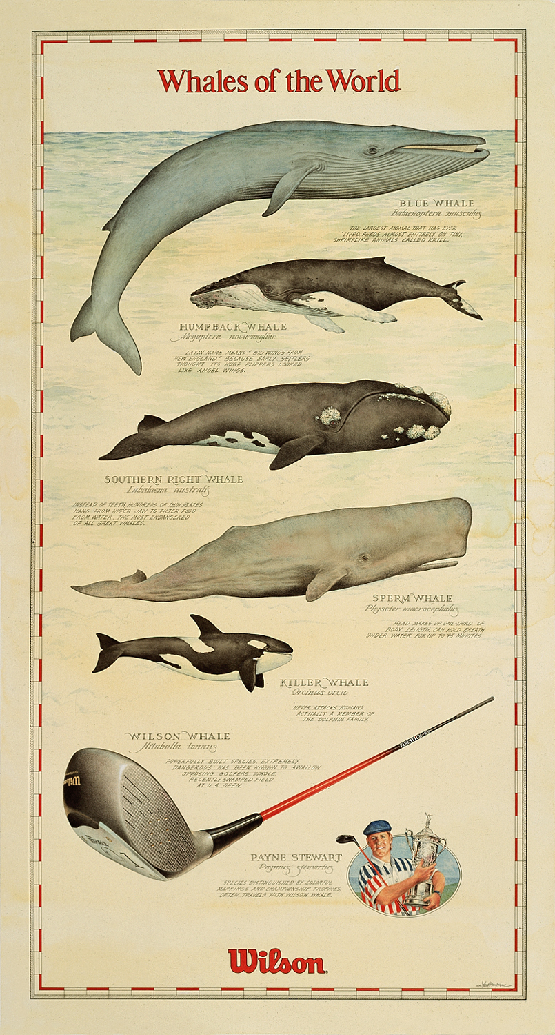 whale poster.jpg