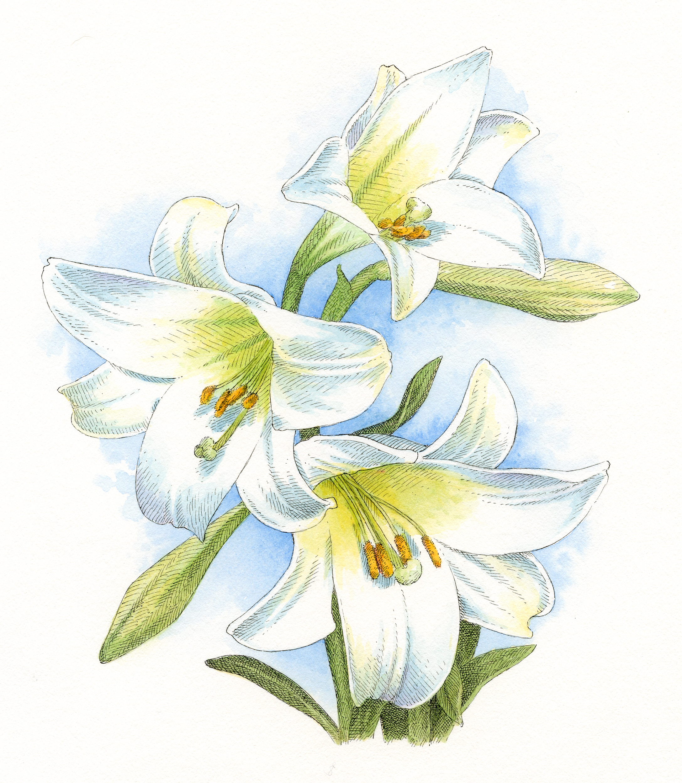 Easter Lily finish.jpg