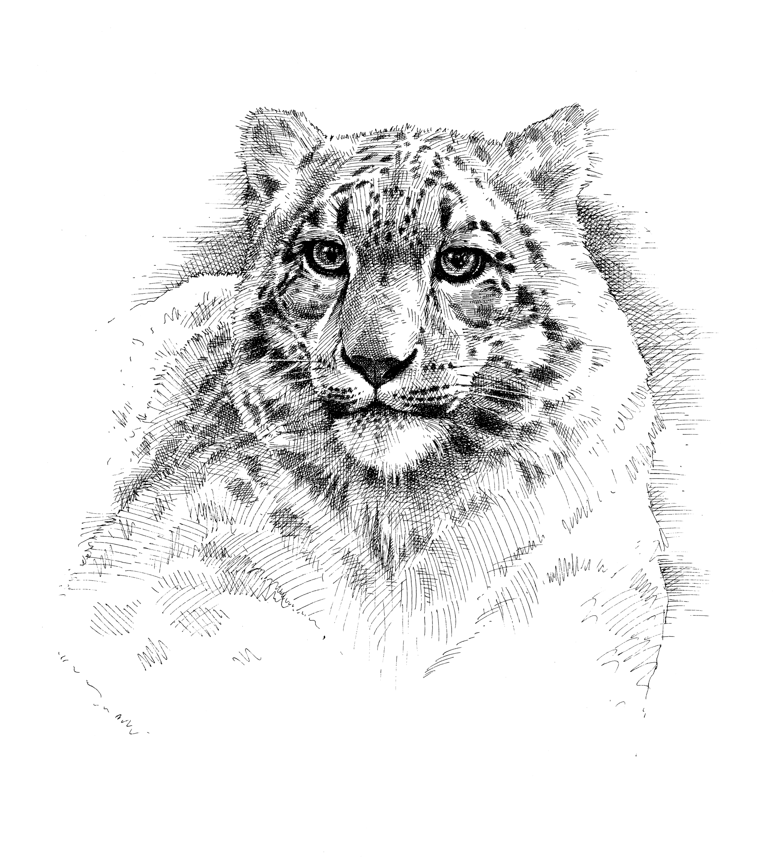 Snow Leopard finish wb.jpg