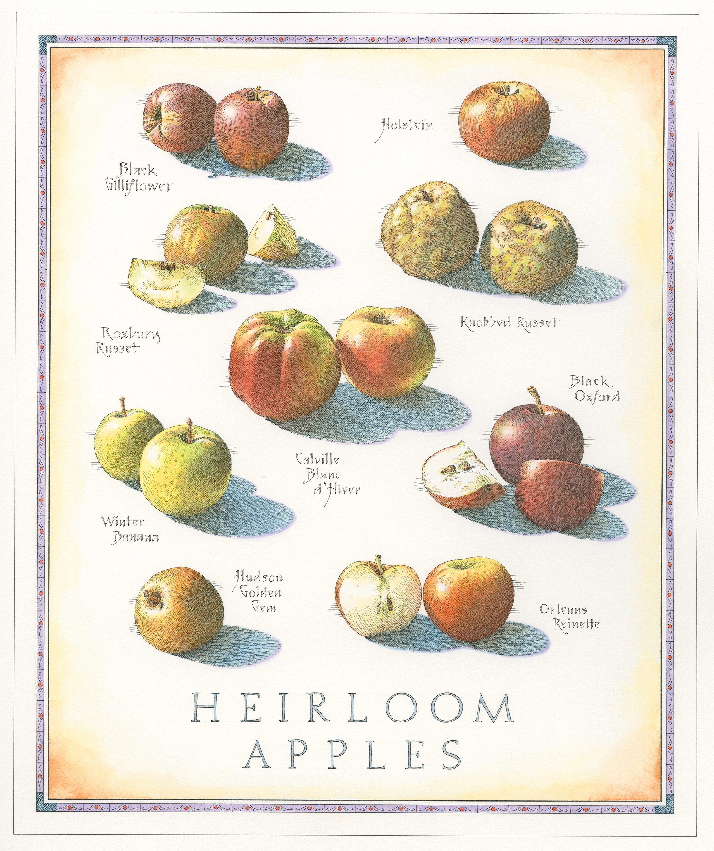 Heirloom Apples A finish smalll 001.jpg