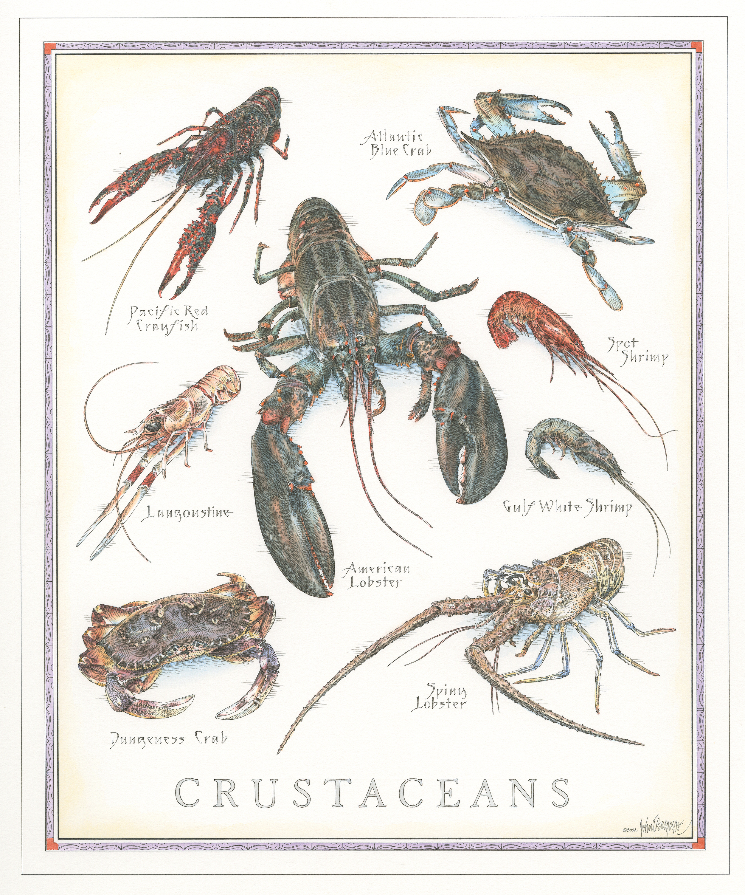 Crustaceans finish001.jpg