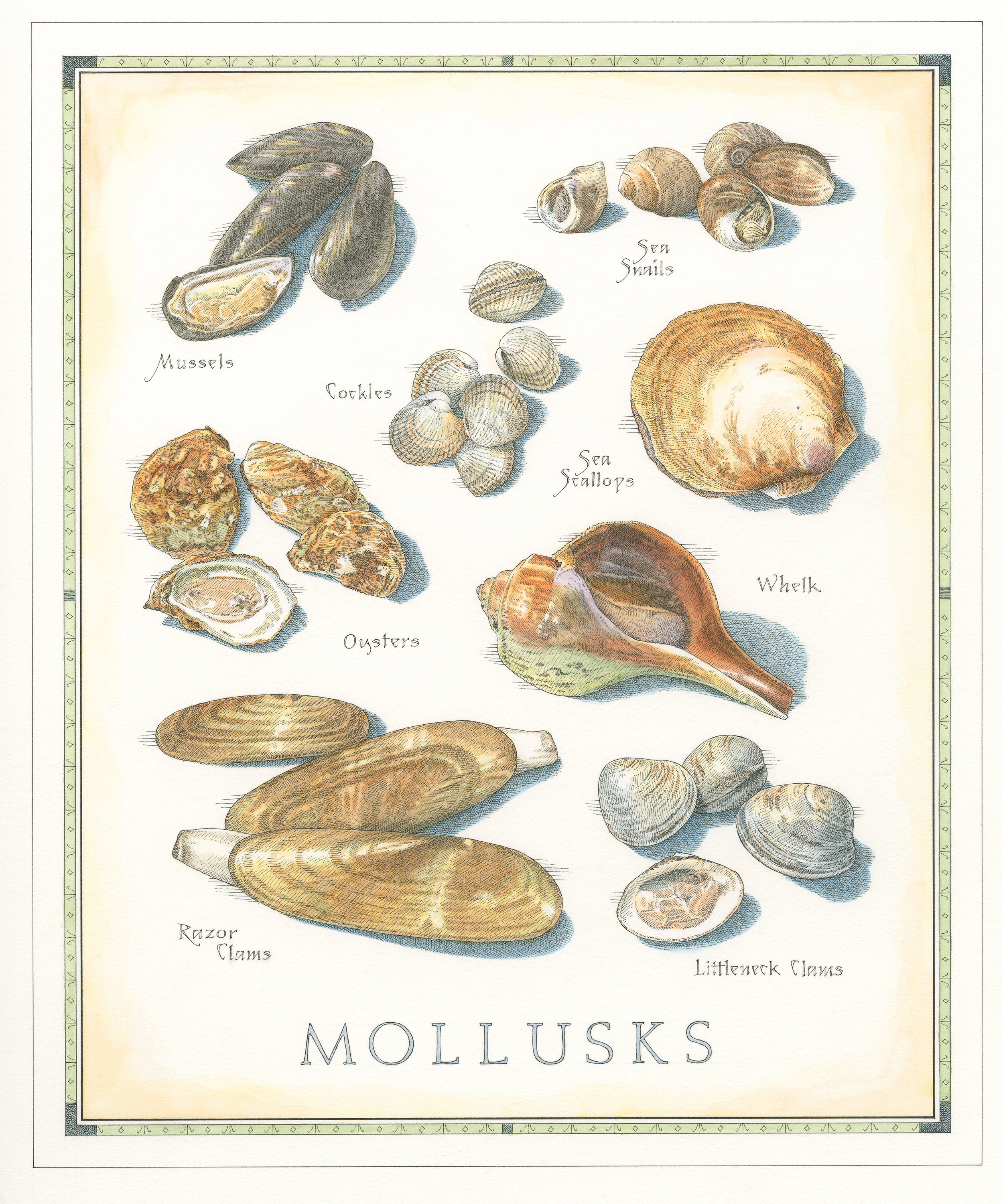 Mollusks finish001.jpg