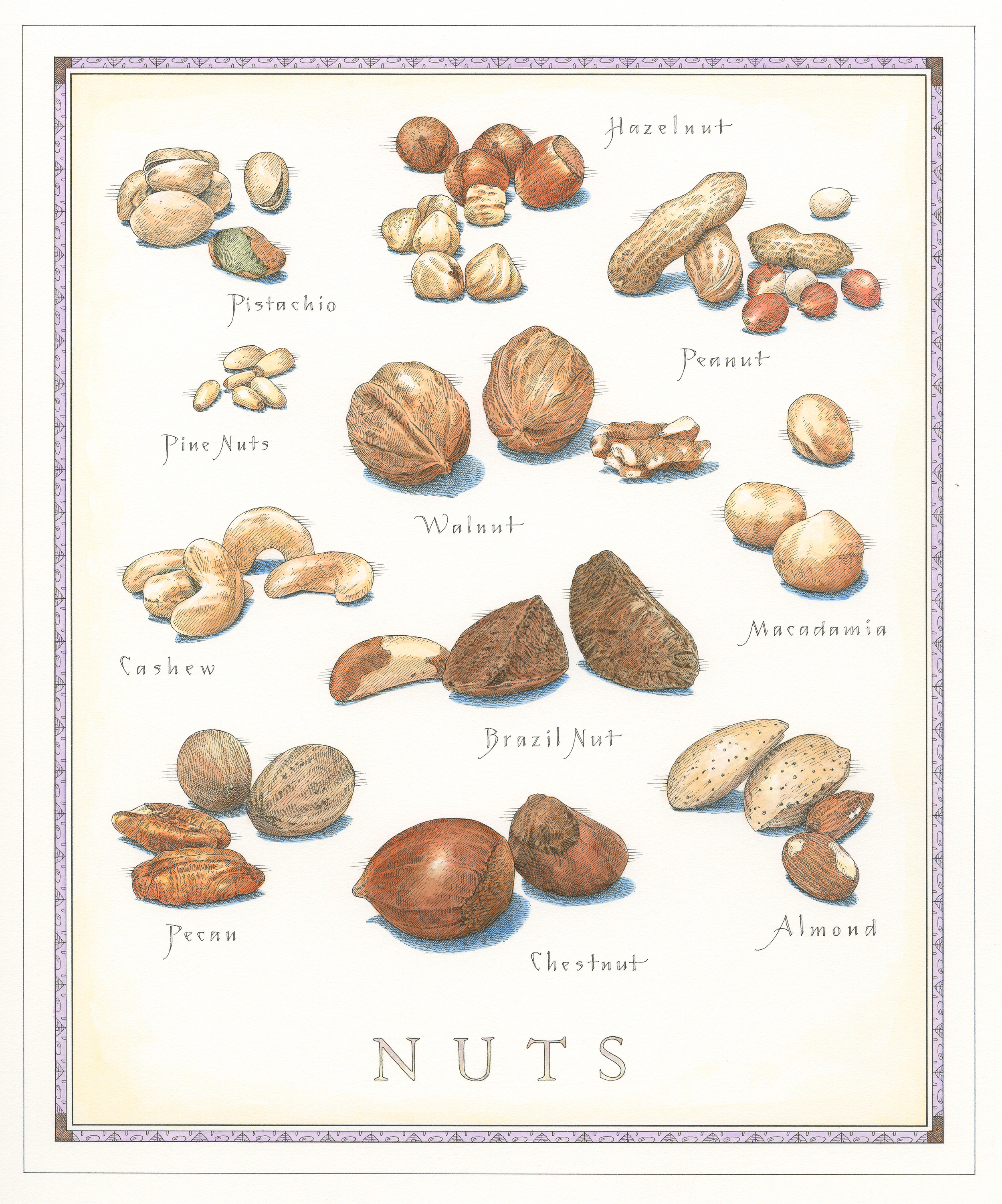 Nuts finish001.jpg
