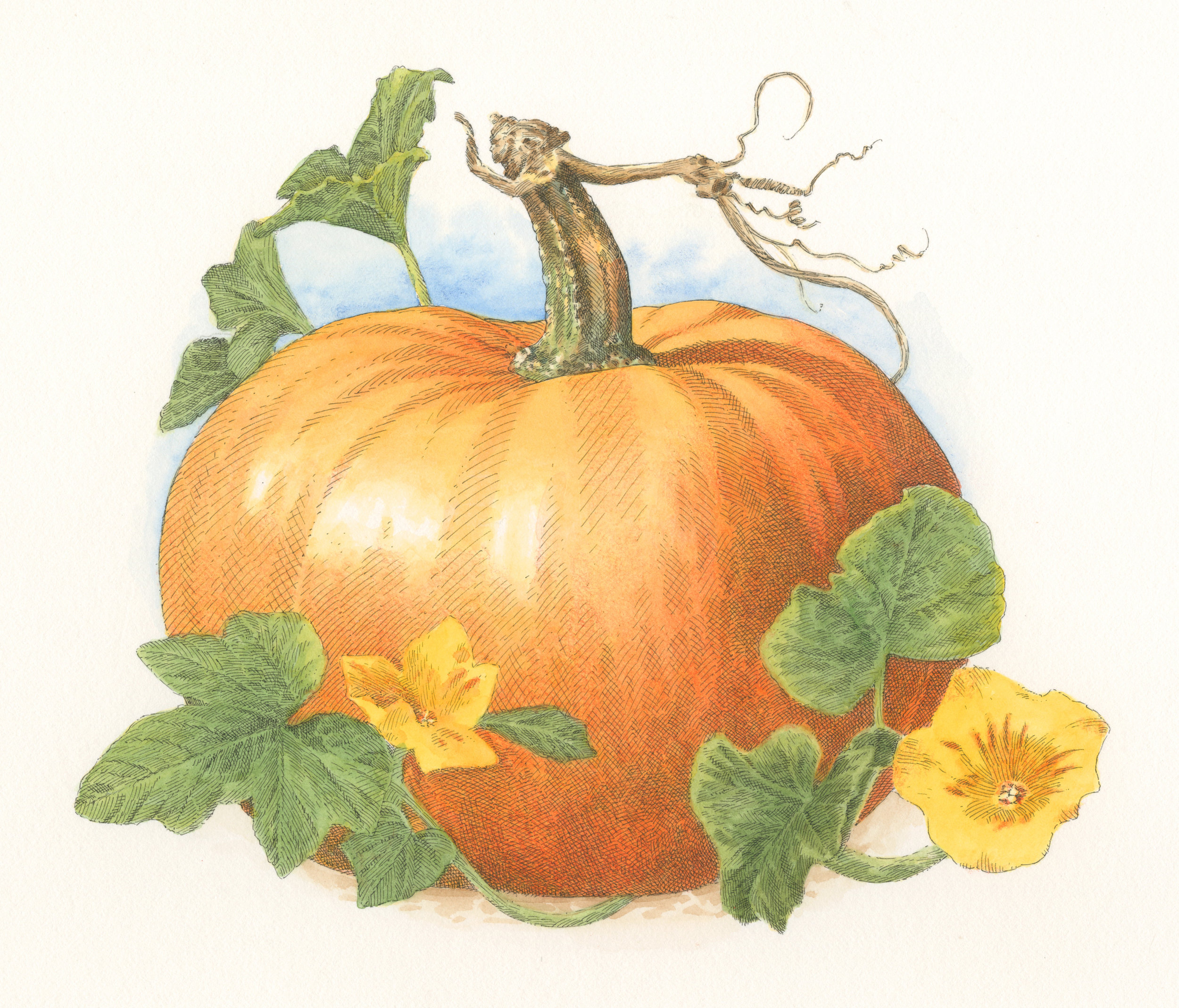 Pumpkin finish001.jpg