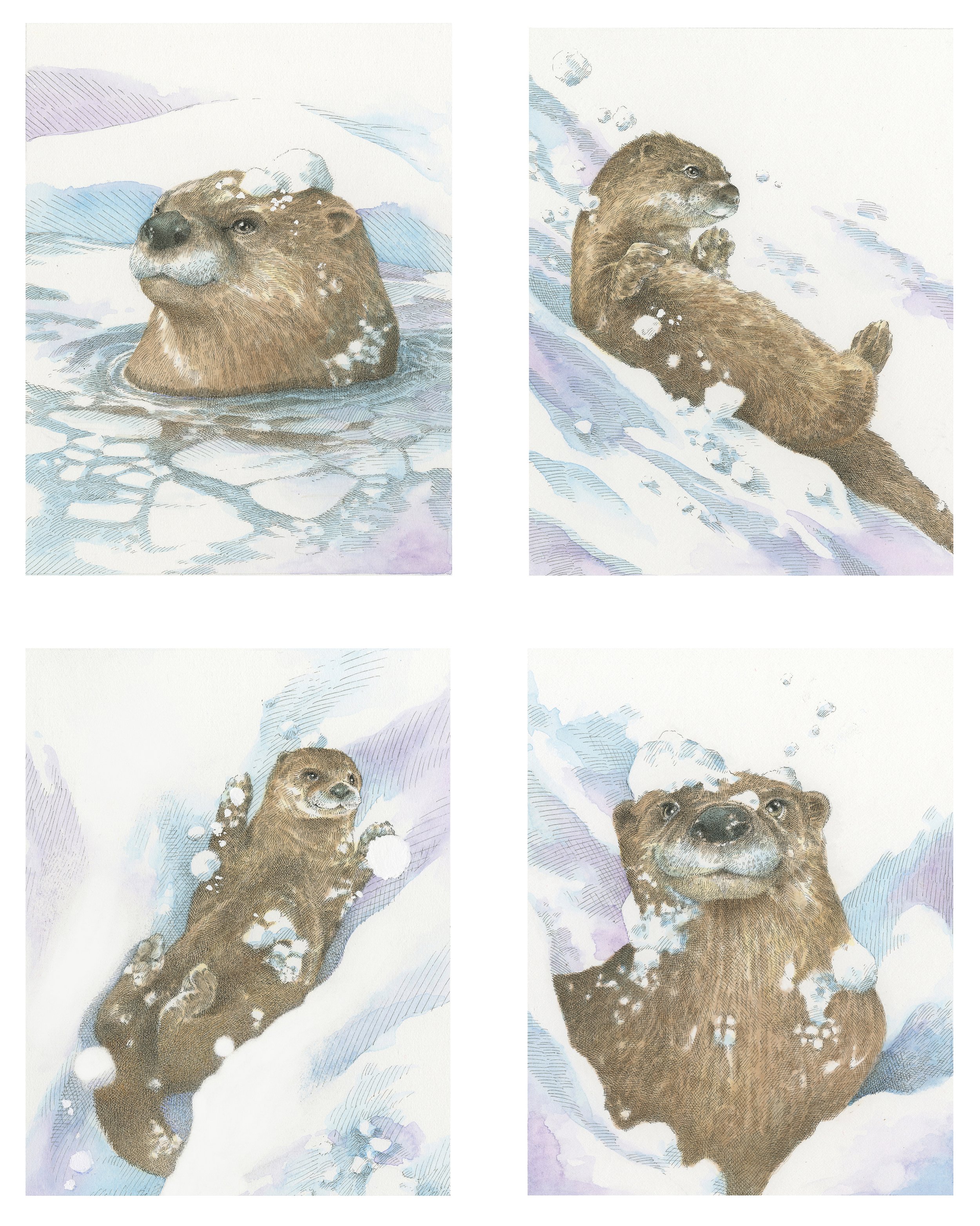 4 Otters cropped 350 website.jpg