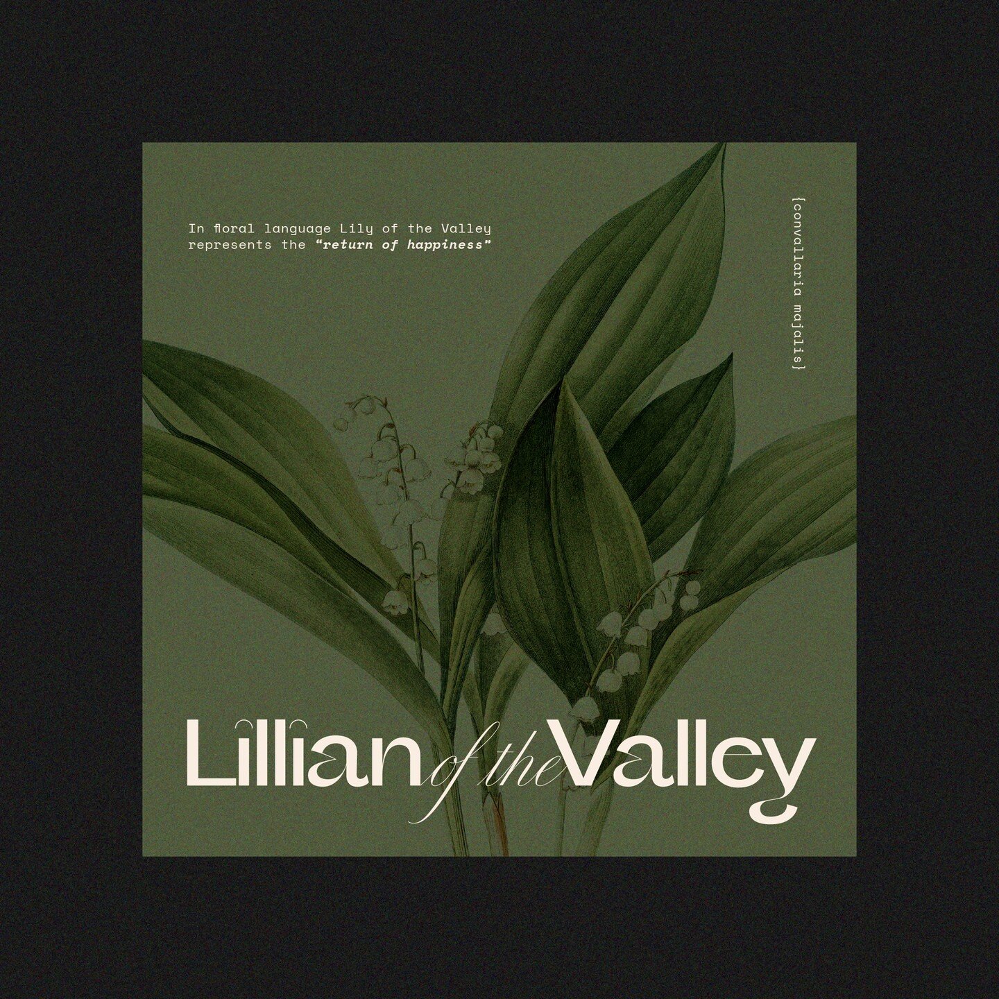 ℒillian of the 𝒱alley; inspired by the name lily of the valley and in honour of my nana, Lillian.
〰️
bit of an update lol but i'm channelling my inner Kath Day-Knight and studying floristry! #waitingfortelstra 💐 i'll still be designing so if you wa