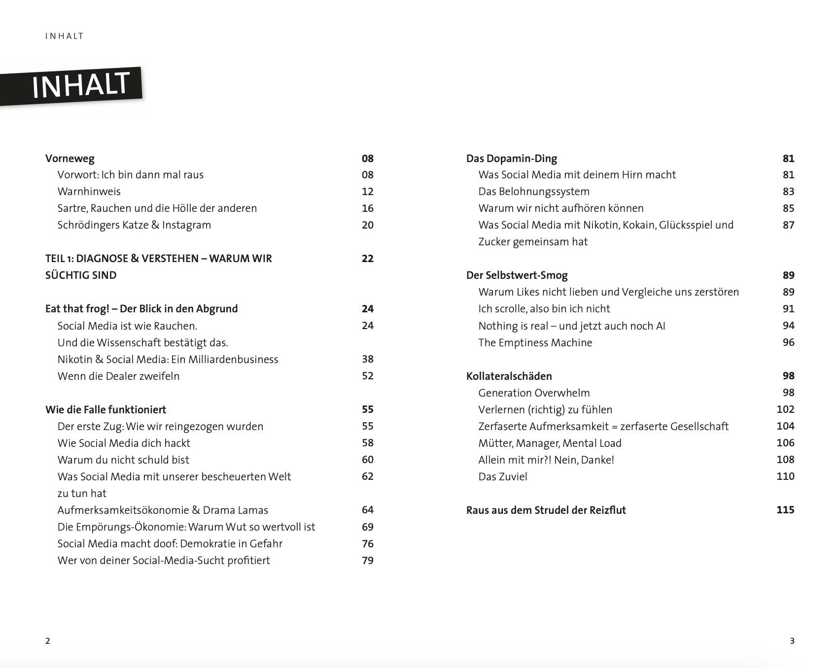 Social Media Ausstieg Buch 