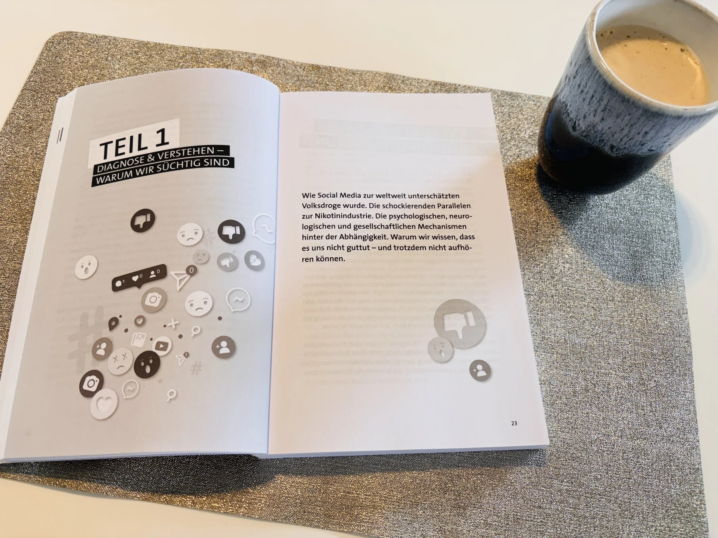 Buch Social Media Ausstieg