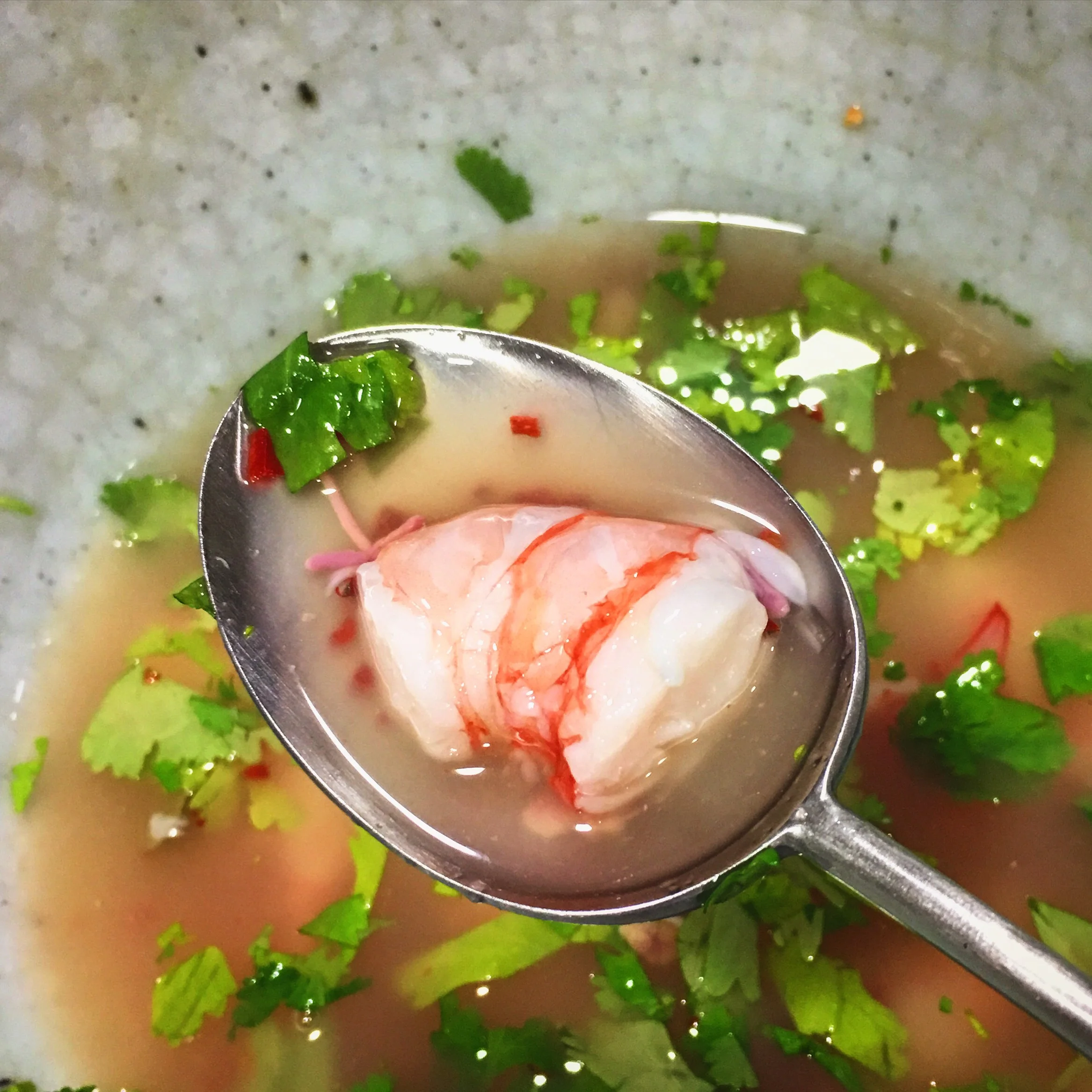 Momento en el que pruebo mi ceviche .....