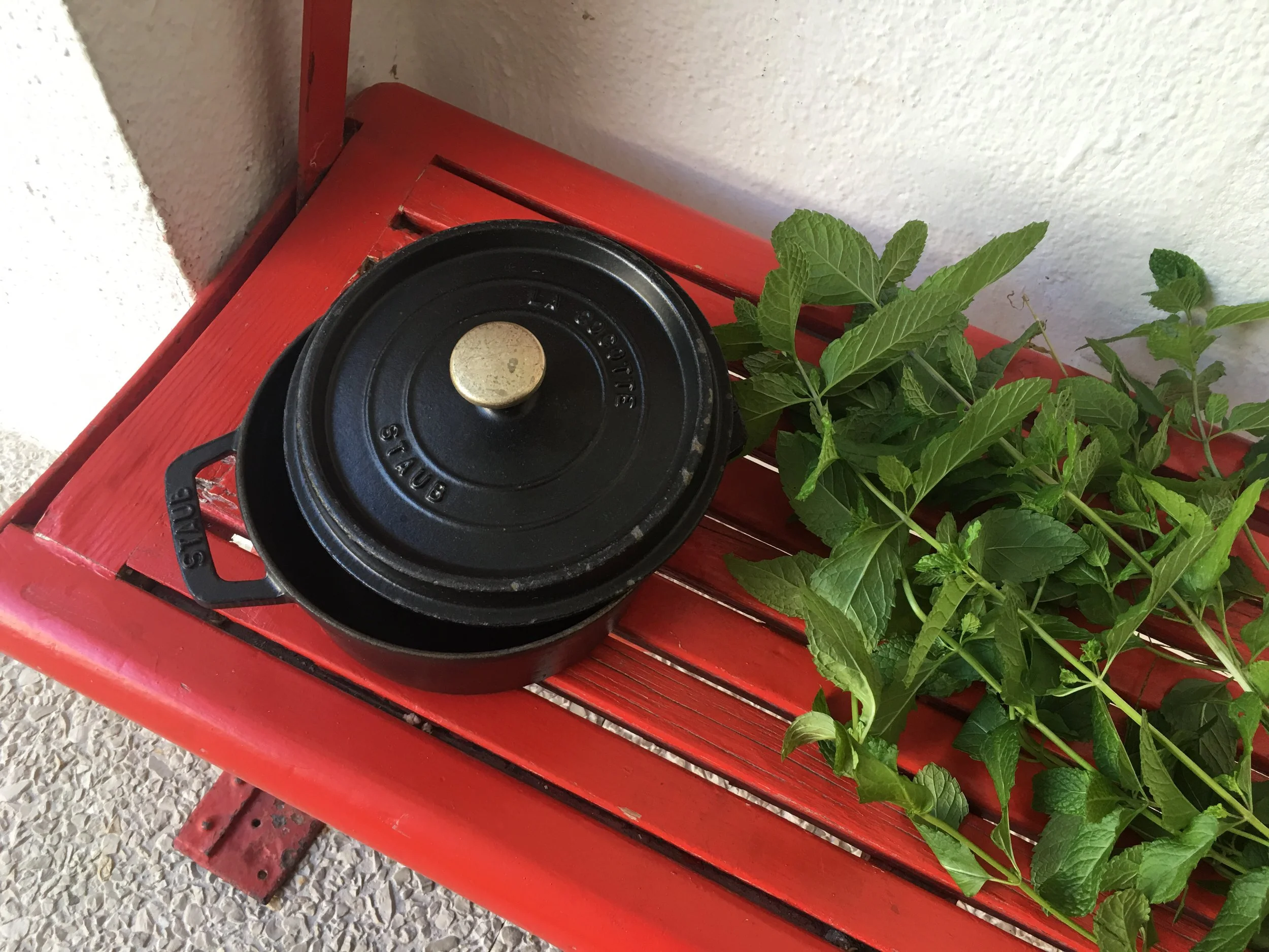 Mi olla de la marca Satub, de hierro fundido para toda la vida