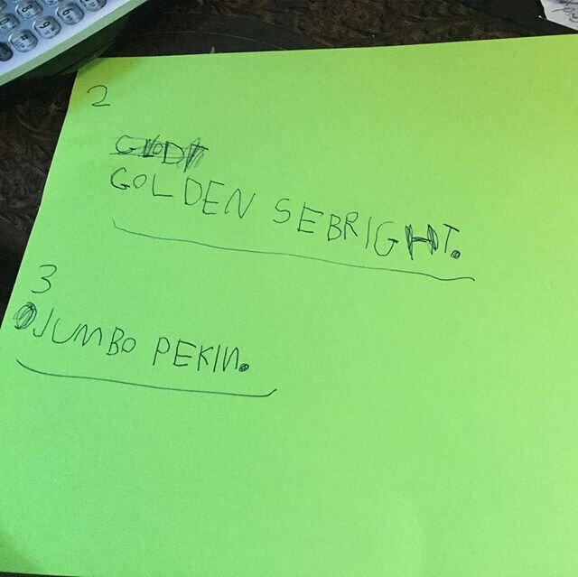 Little boy&rsquo;s future fowl dreams. Making lists for me and currently watching you tube videos in how to make $1000 off chicken eggs! 🤣🐣🐥#hookermountainfarm #farmkid #futureentrepreneur