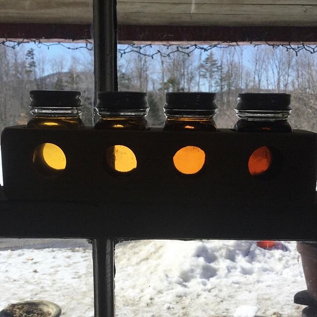 First syrup of the season! This is a grading set and the leftmost jar is ours. I&rsquo;m calling that fancy, er, I mean, &ldquo;golden delicate&rdquo;. Whatever you call it, it&rsquo;s the lightest syrup we&rsquo;ve ever made.